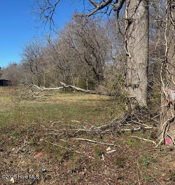 Lots 2 & 3 W Castalia West Road Property Photo 5