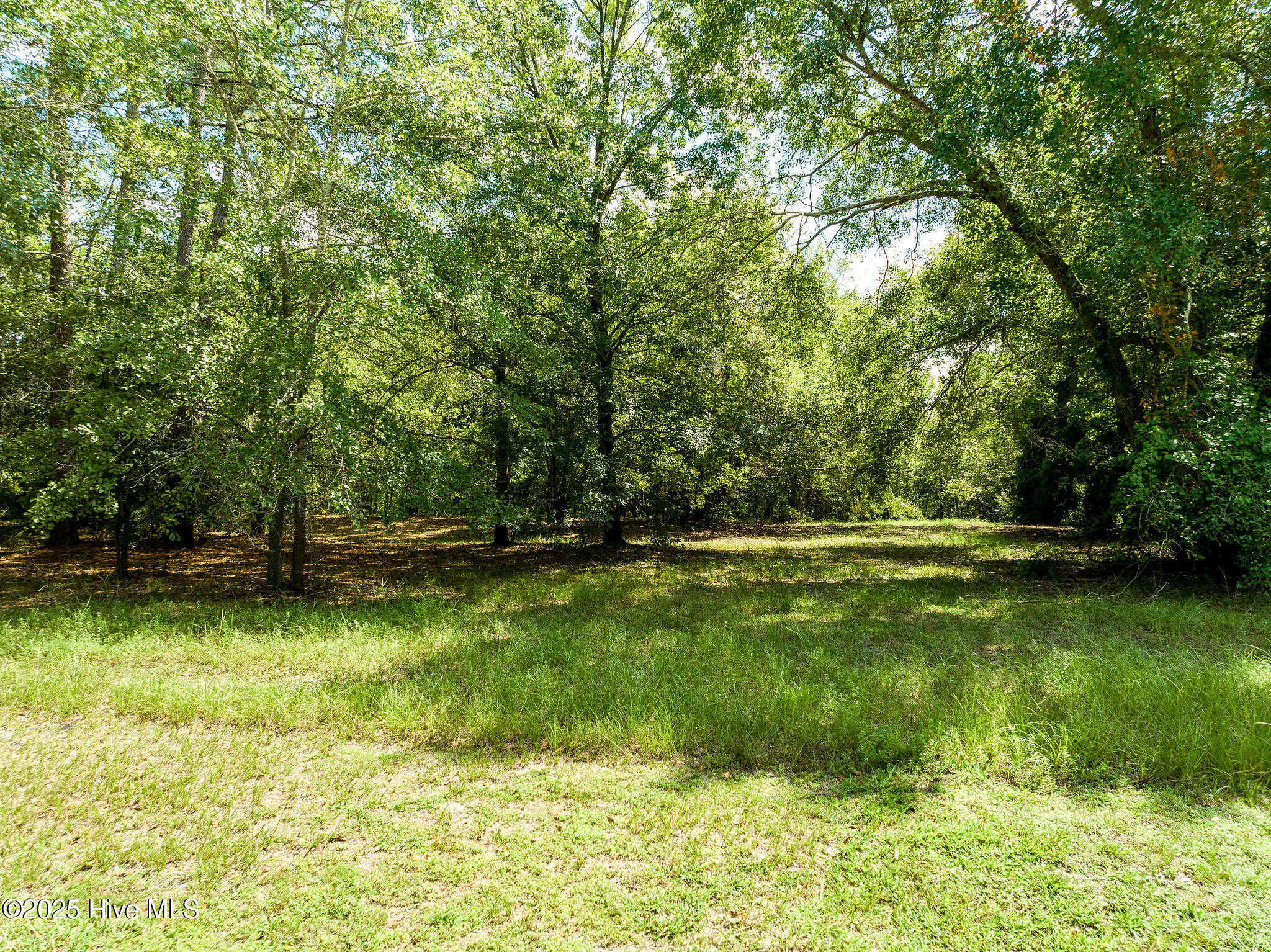 211 River Ridge Rd Drive Property Photo 2