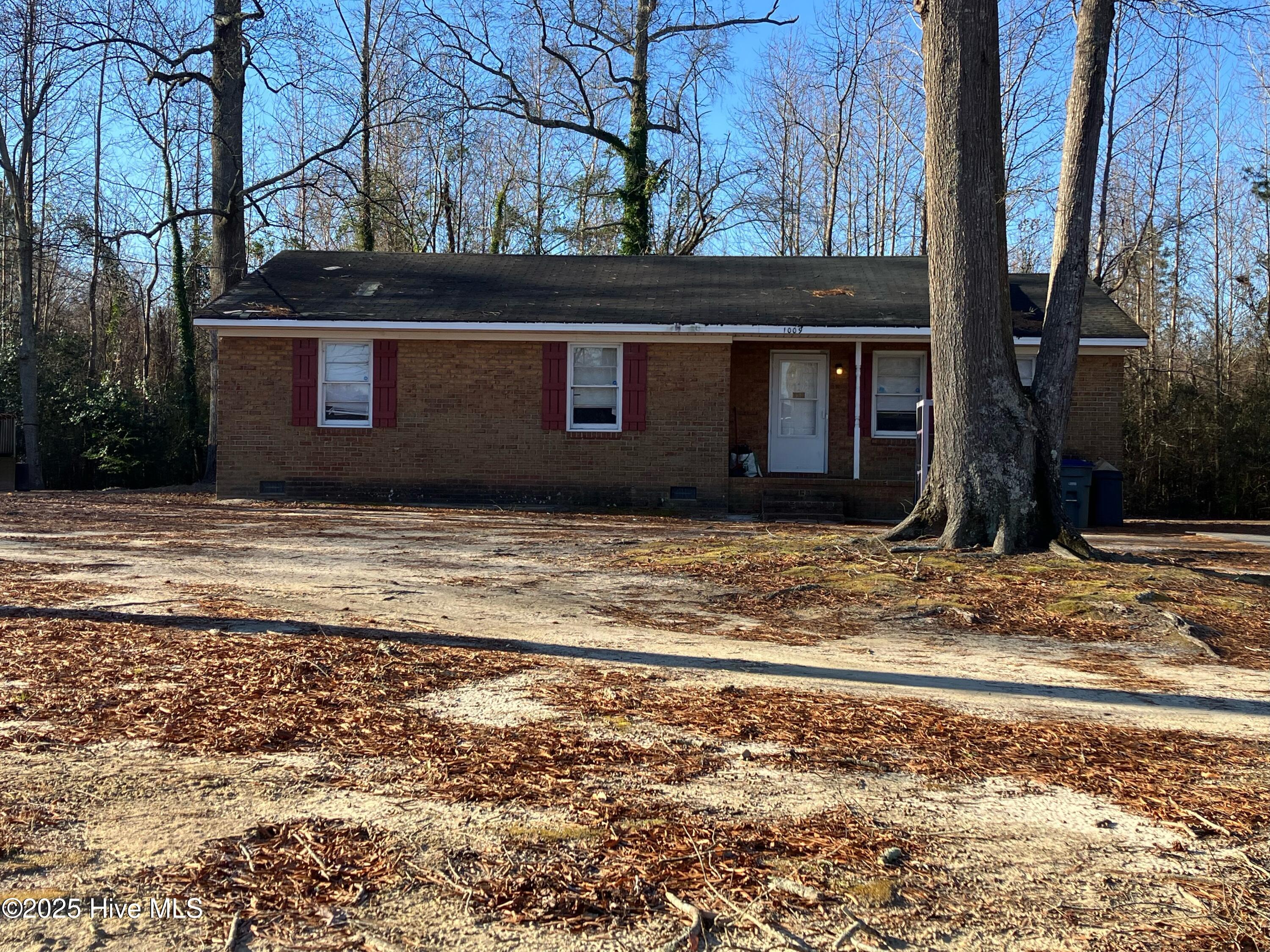 1009 Hazelwood Drive Property Photo