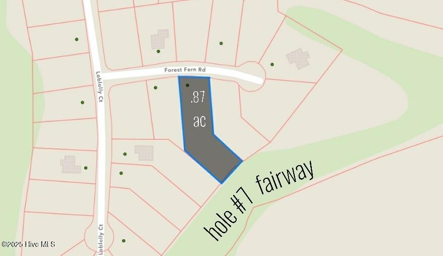 30 Forest Fern Court Property Photo 1