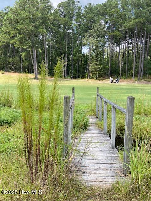 30 Forest Fern Court Property Photo 16
