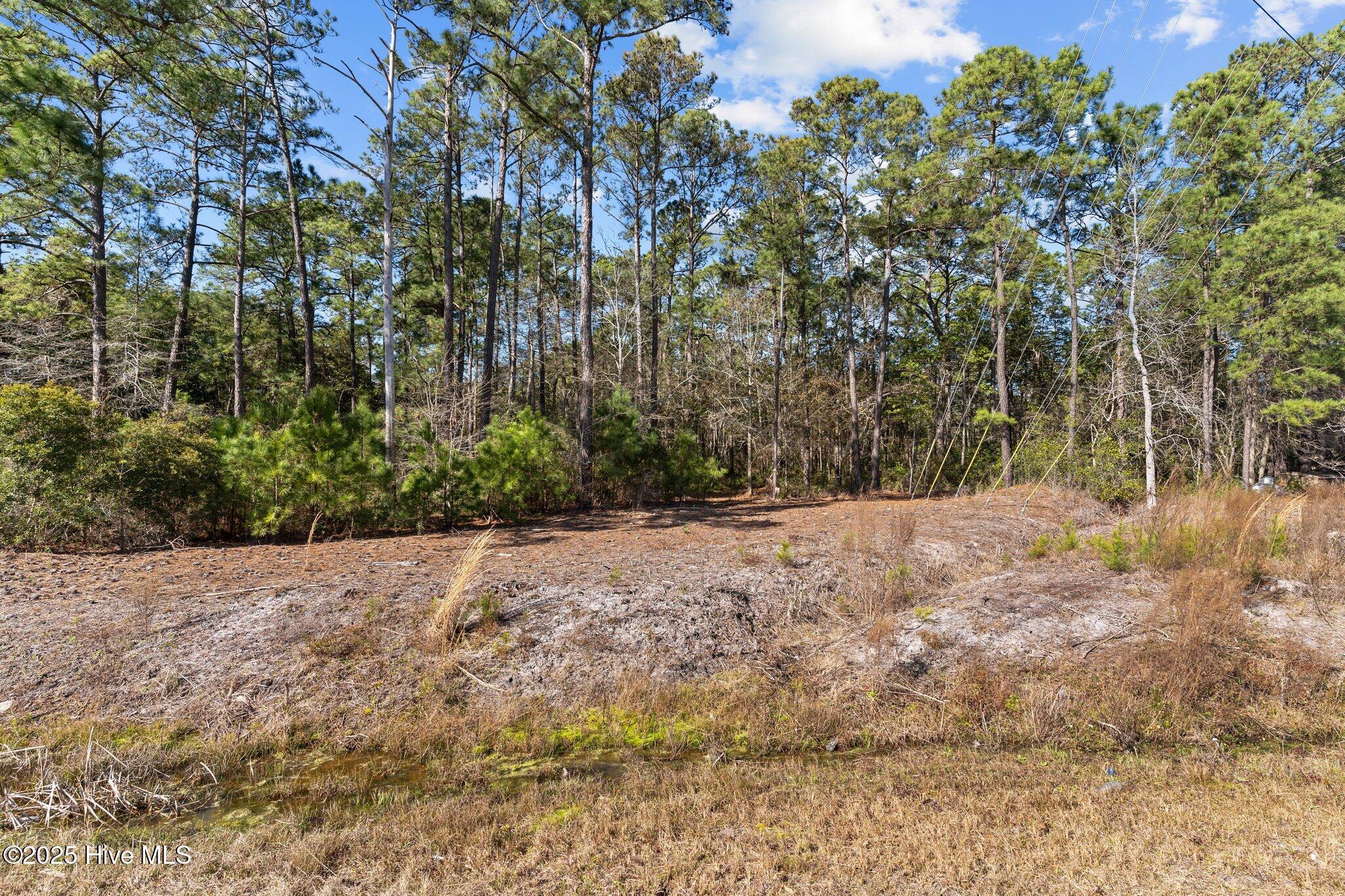 662 Bricklanding Road Property Photo 4