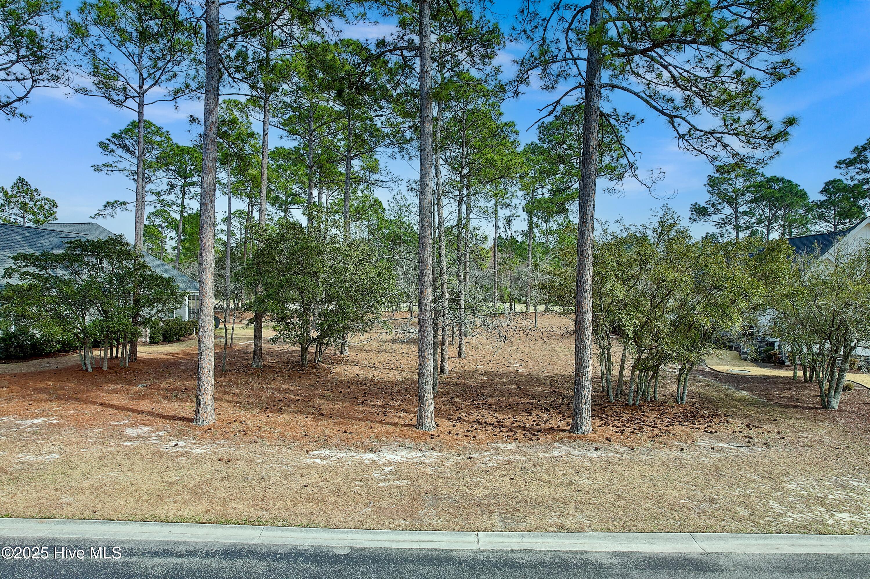 1512 Hidden Oaks Lane Property Photo