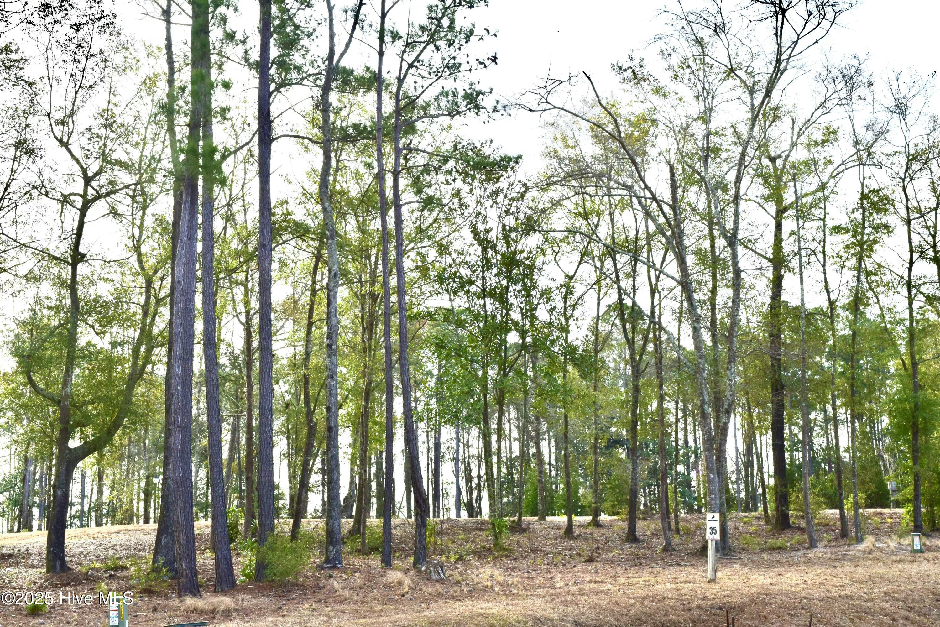 1536 Riverview Terrace Property Photo 3
