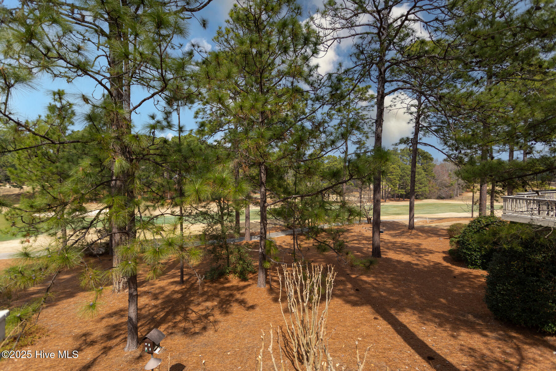 46 Highland View Drive Property Photo 31