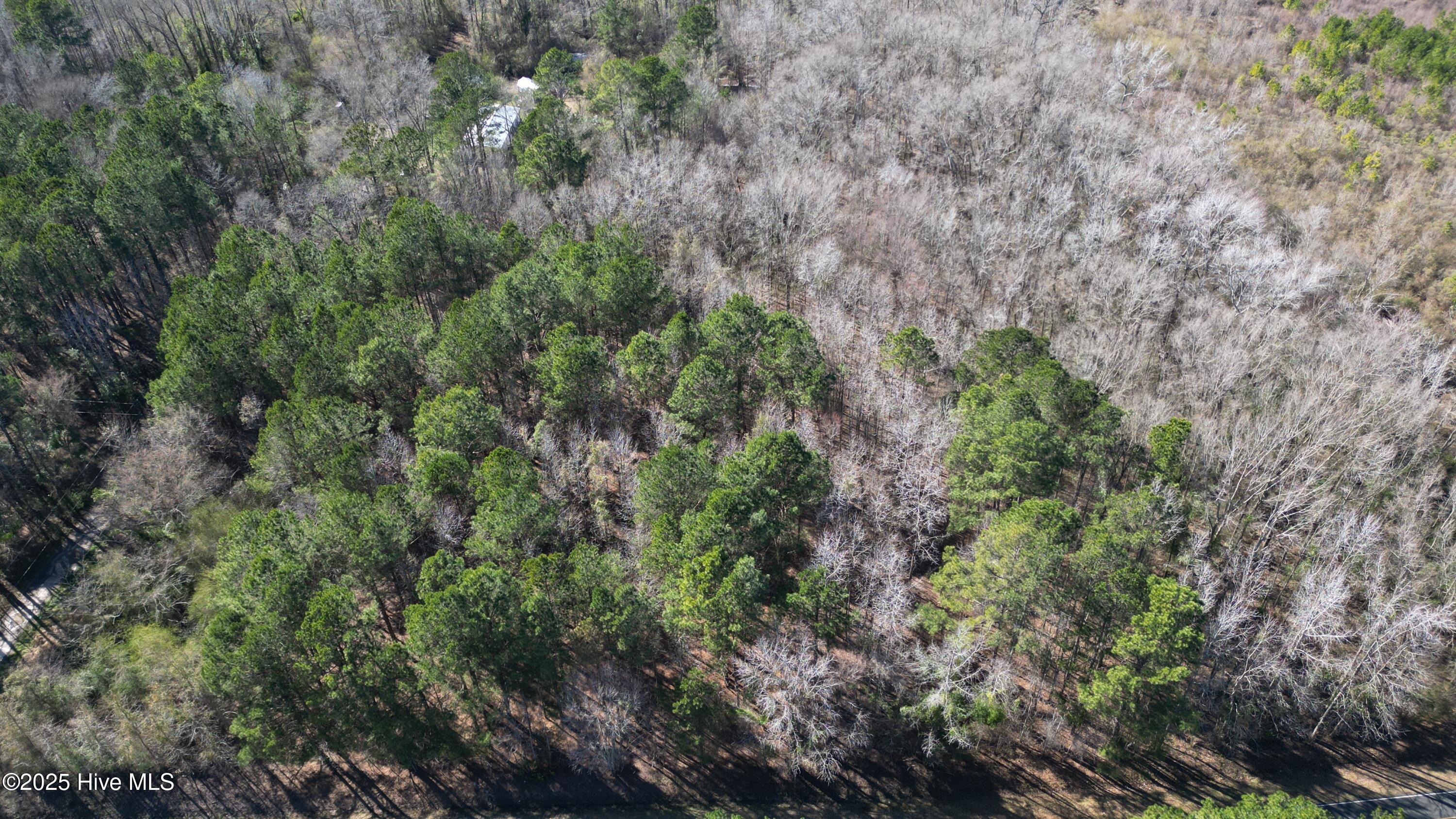 0 Bladenboro Airport Road Property Photo 10