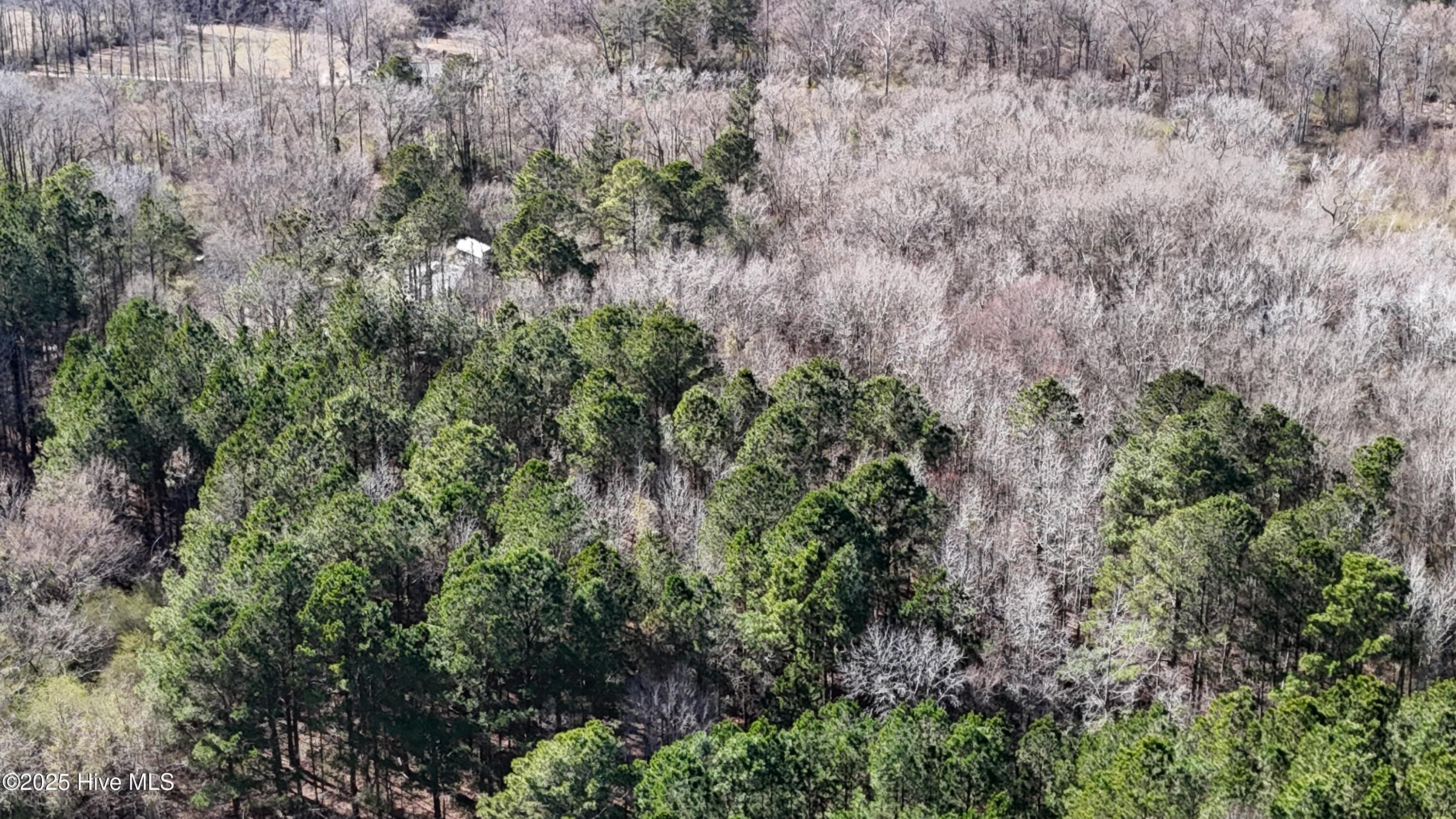 0 Bladenboro Airport Road Property Photo 18