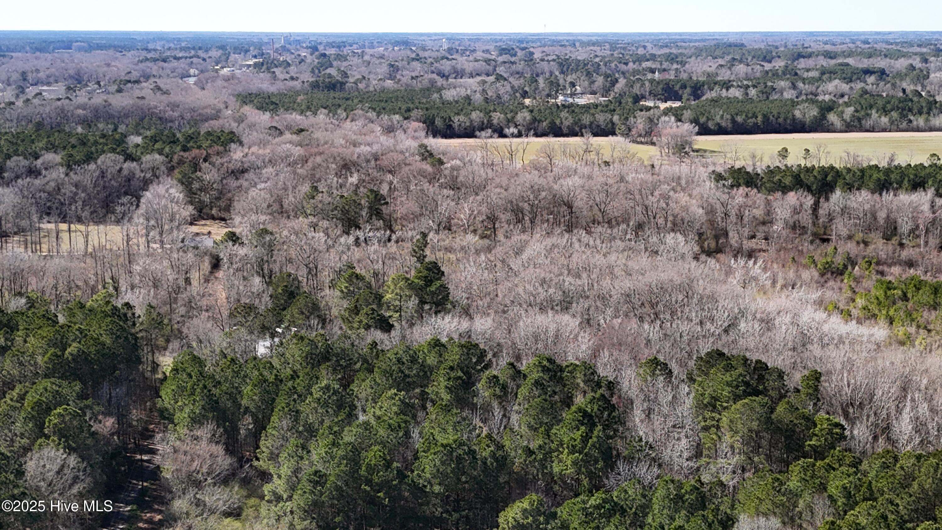 0 Bladenboro Airport Road Property Photo 21
