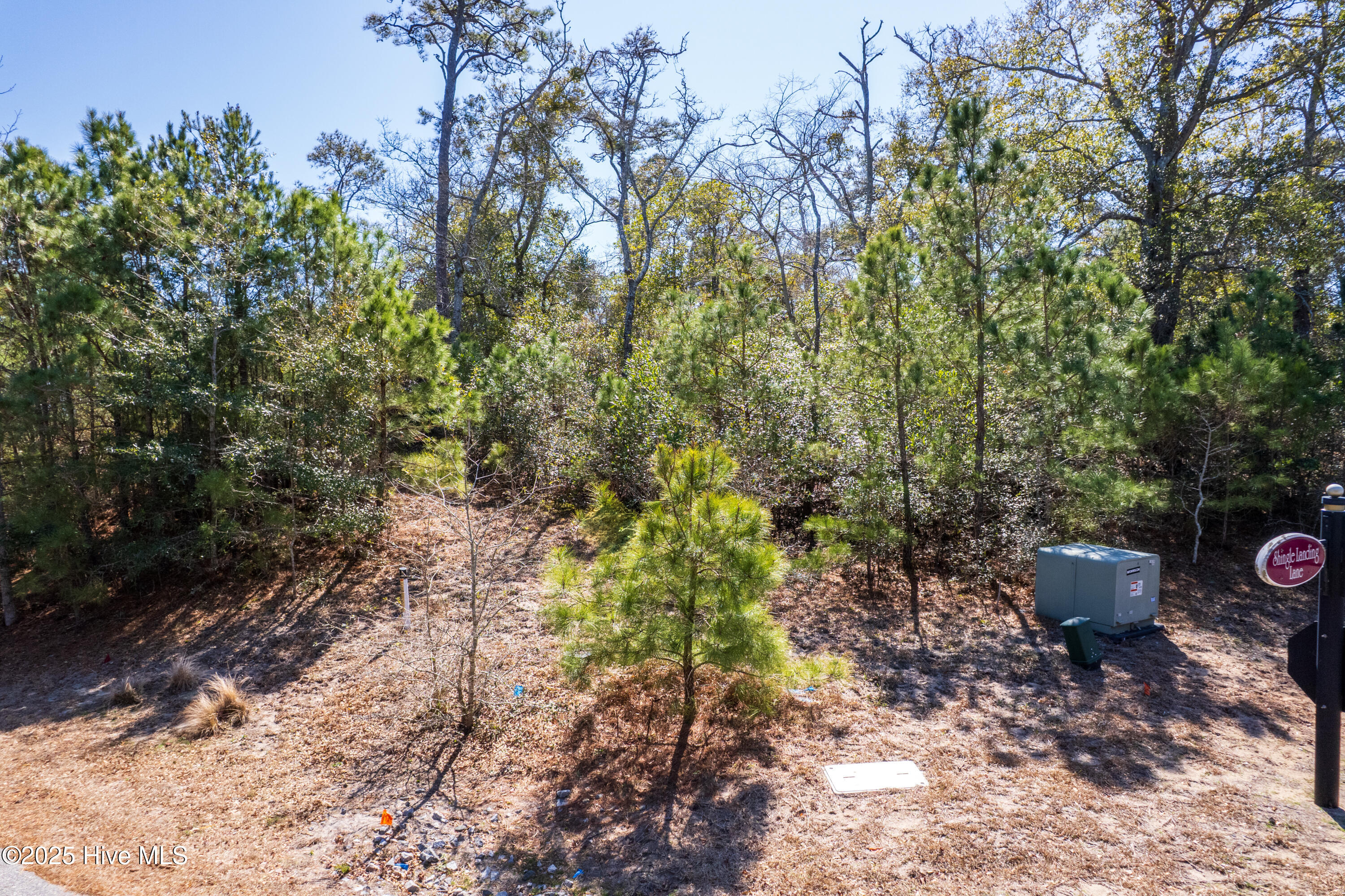 164 Shingle Landing Lane Property Photo 2