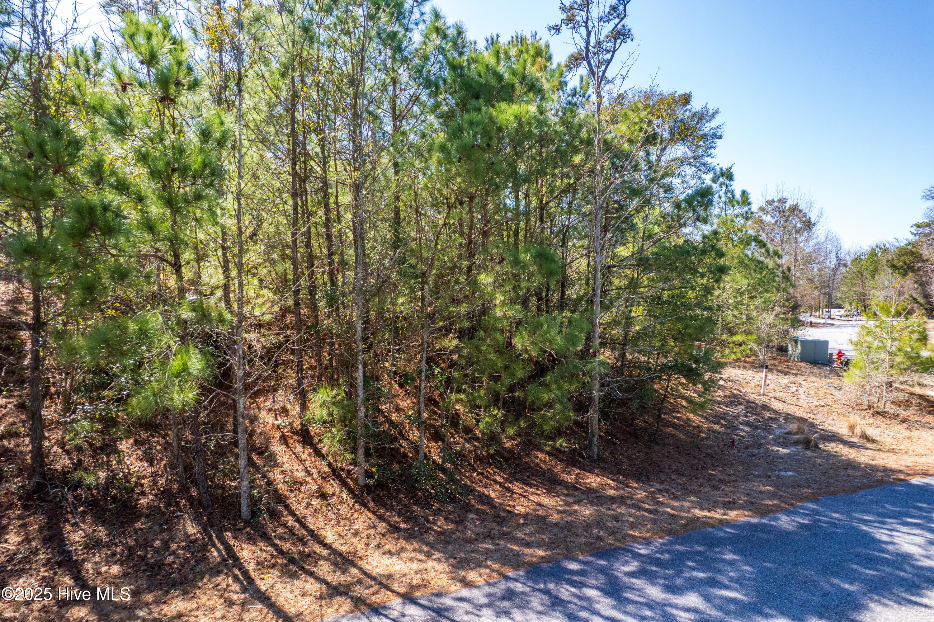 164 Shingle Landing Lane Property Photo 6