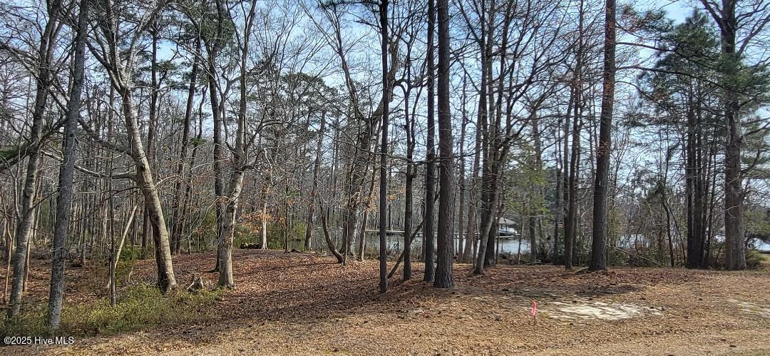 113 S South Fork Court Property Photo 4