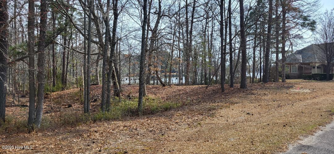 113 S South Fork Court Property Photo 6