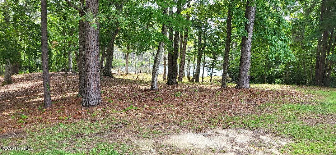 113 S Fork Court Property Photo 4