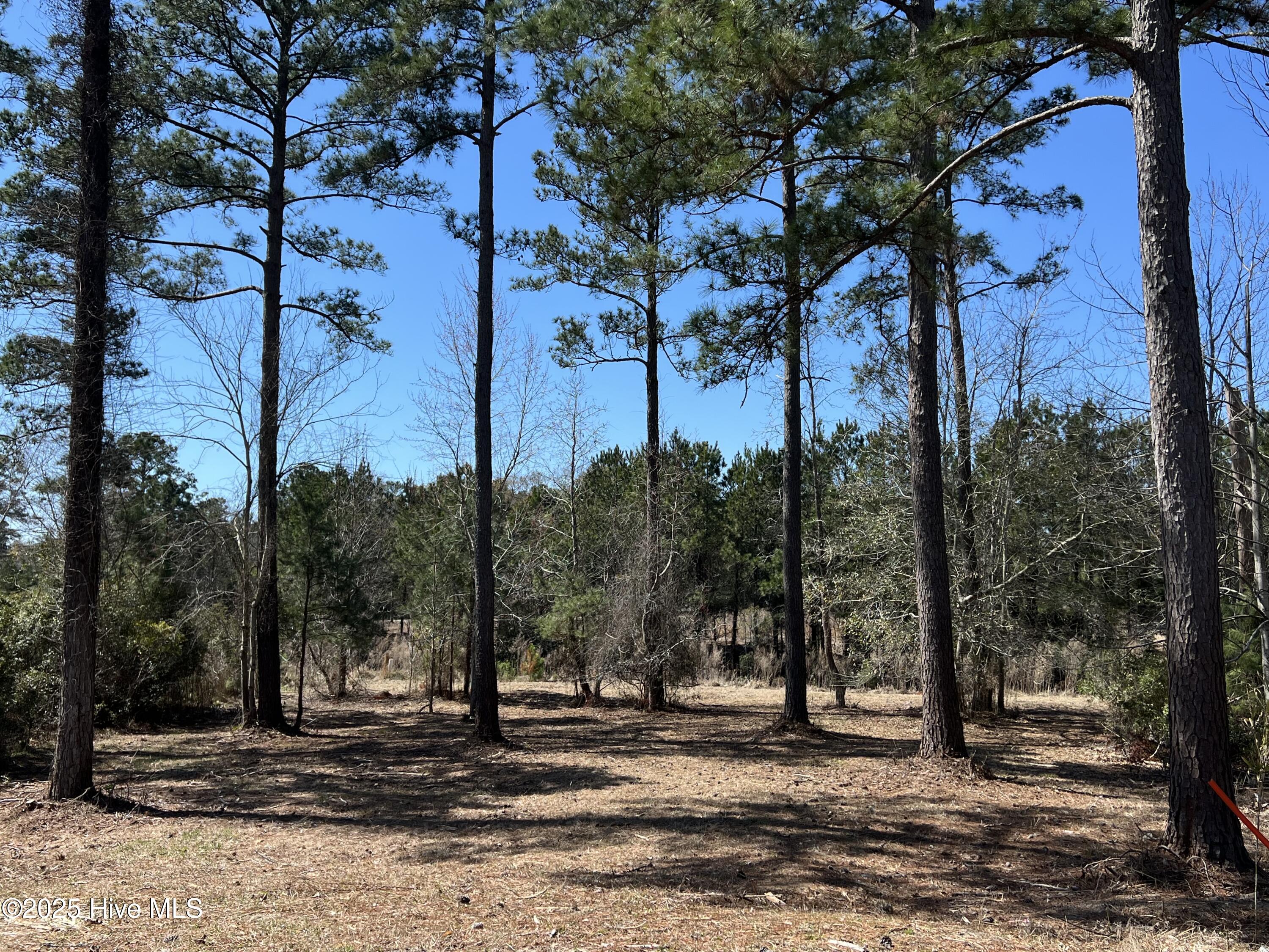 7507 Donegal Circle Property Photo 5