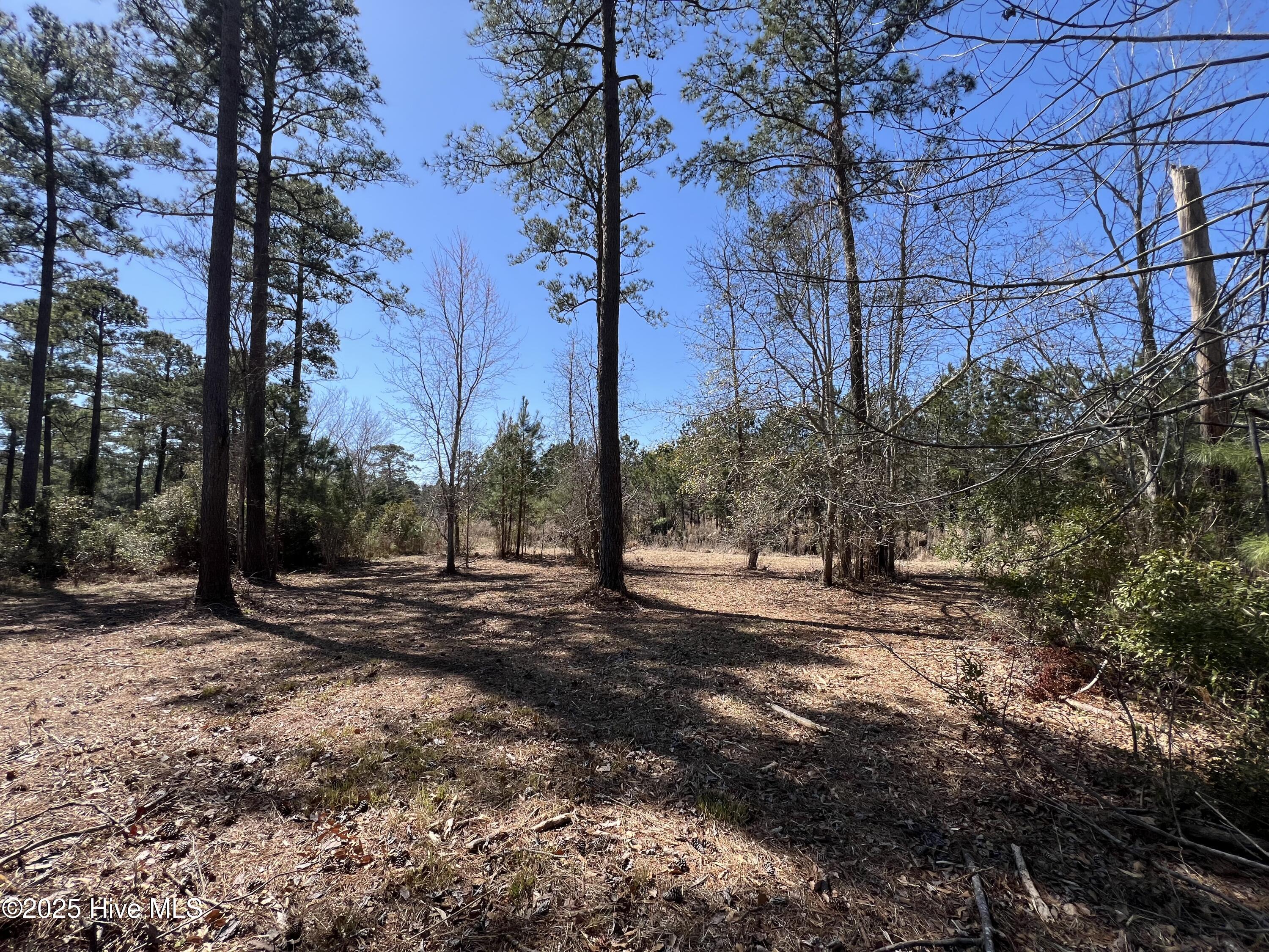7507 Donegal Circle Property Photo 13