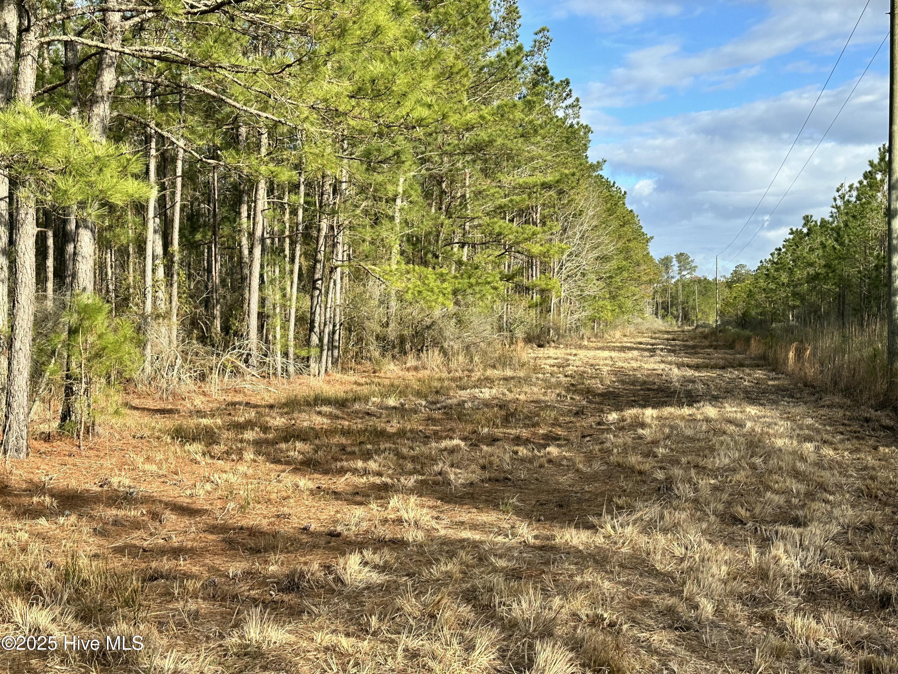Lot 2 Broad Creek Estates Road Property Photo 4