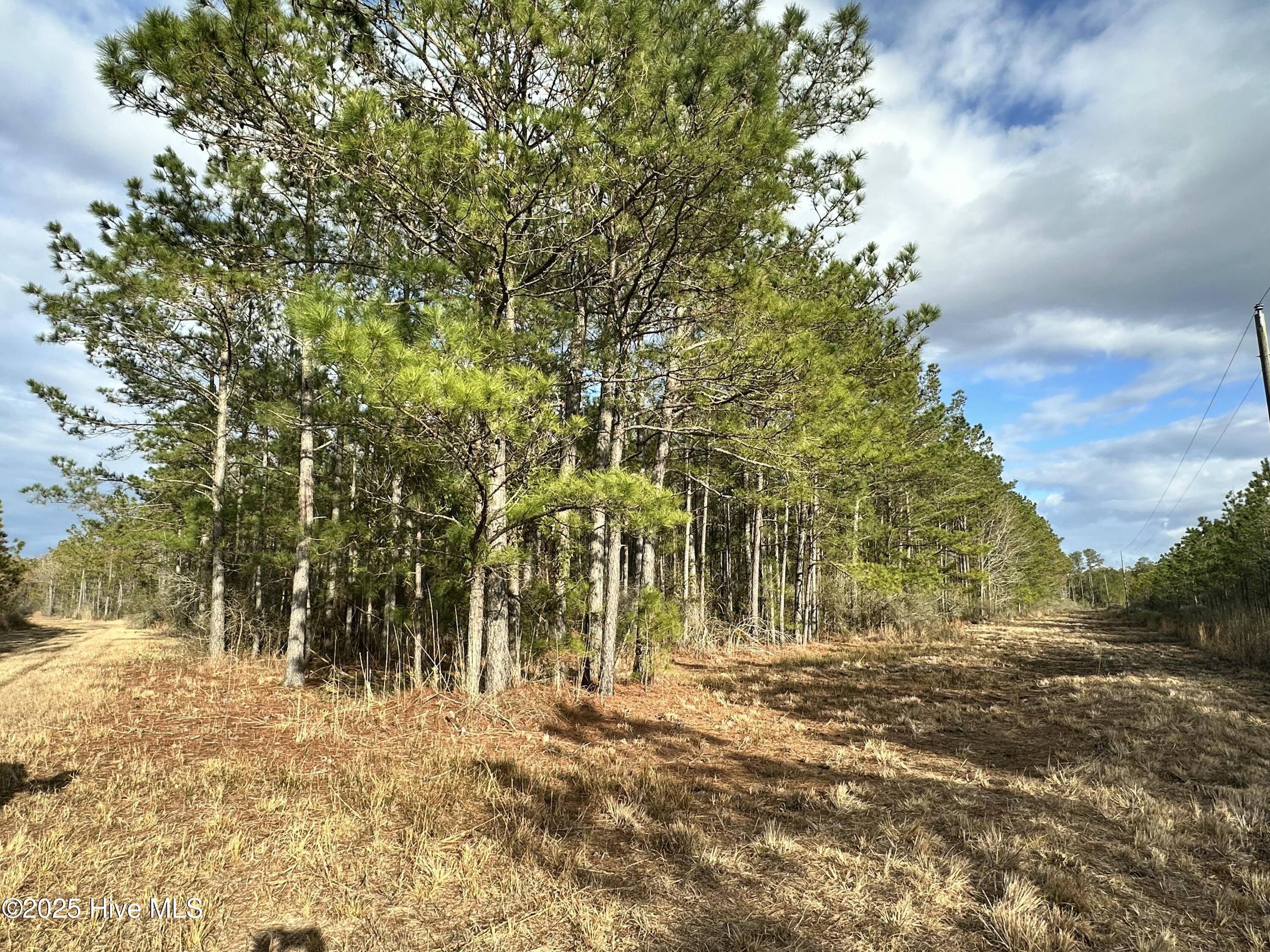 Lot 2 Broad Creek Estates Road Property Photo 5