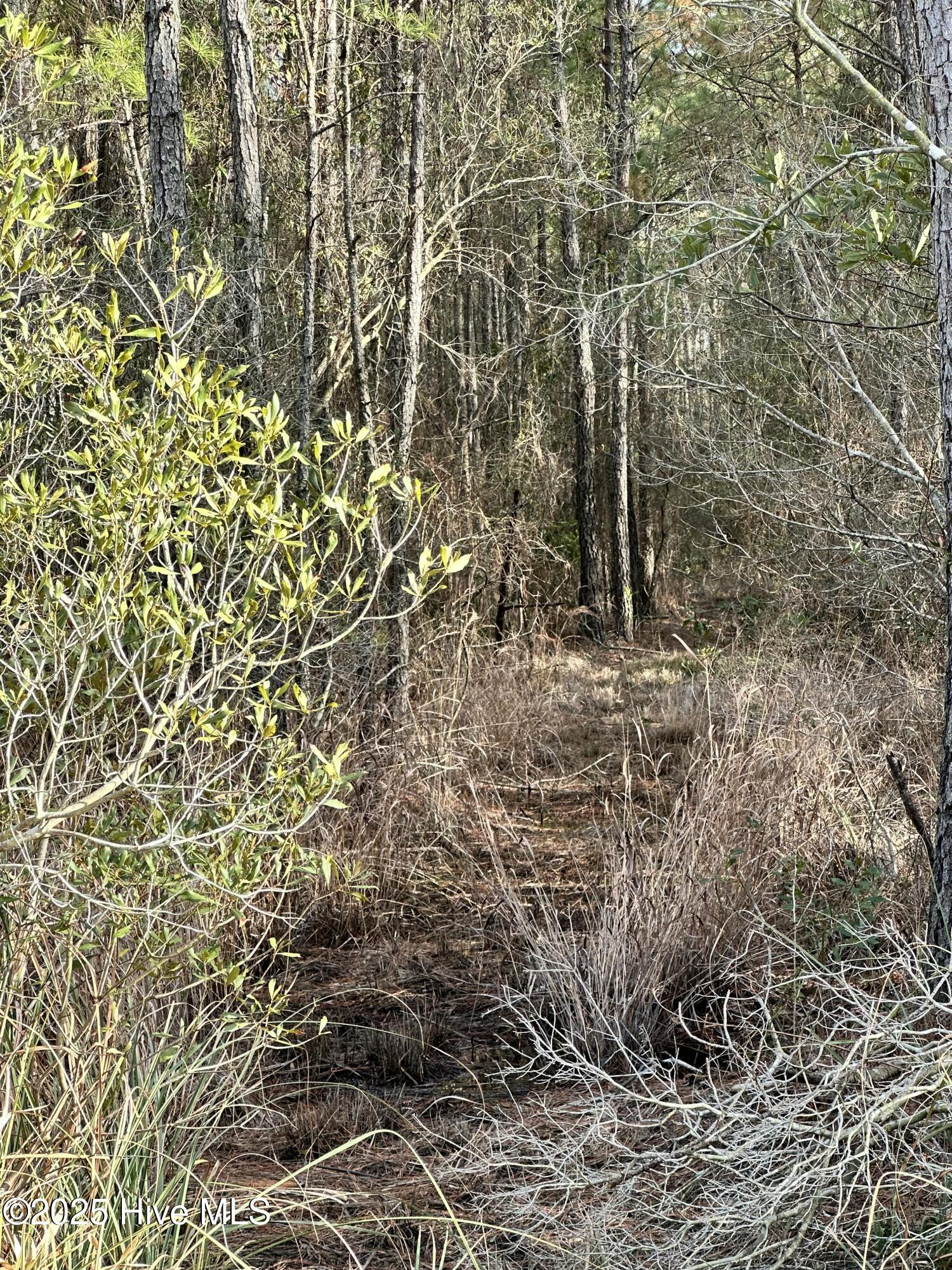 Lot 2 Broad Creek Estates Road Property Photo 6
