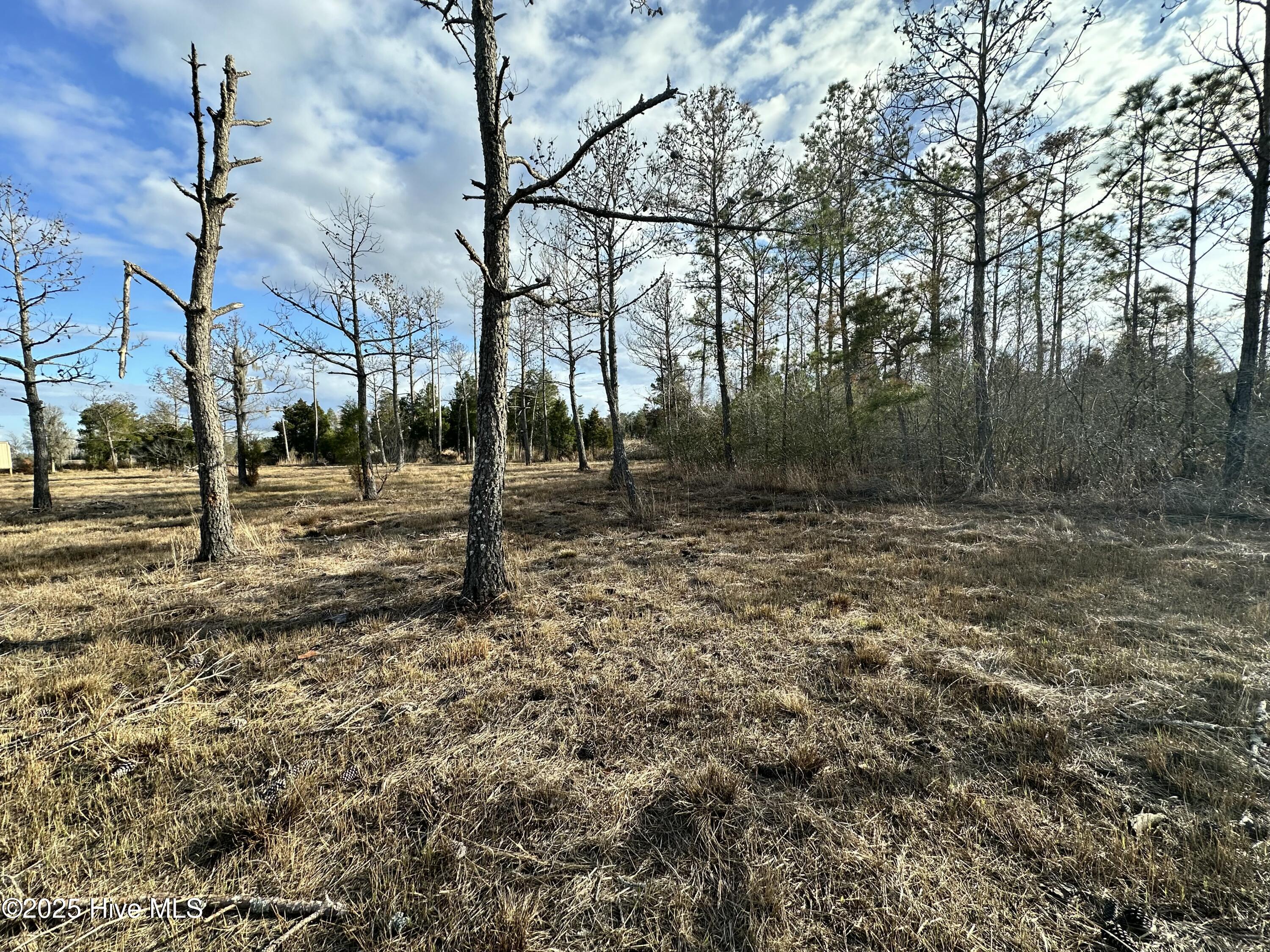 Lot 2 Broad Creek Estates Road Property Photo 7