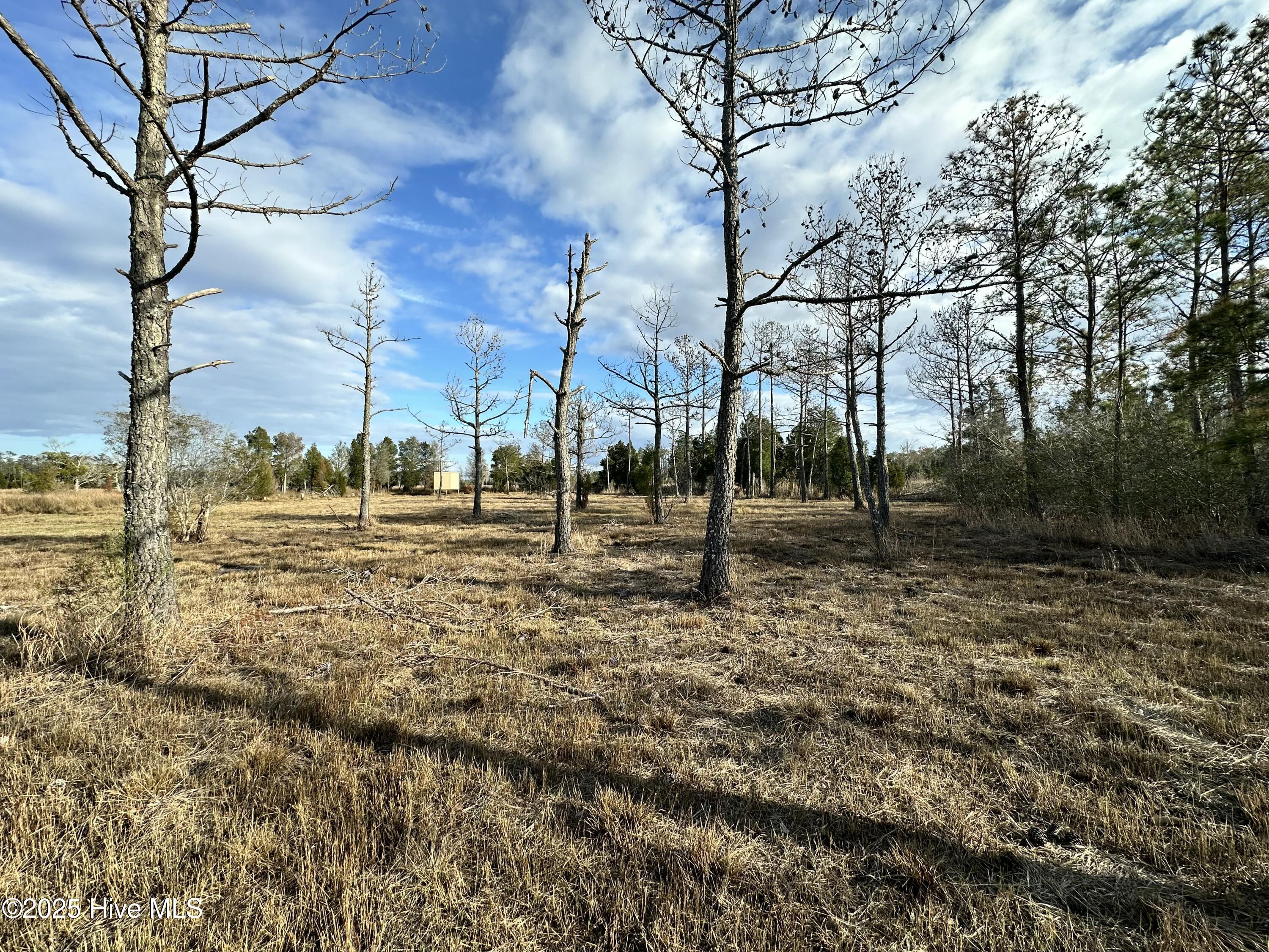 Lot 2 Broad Creek Estates Road Property Photo 8