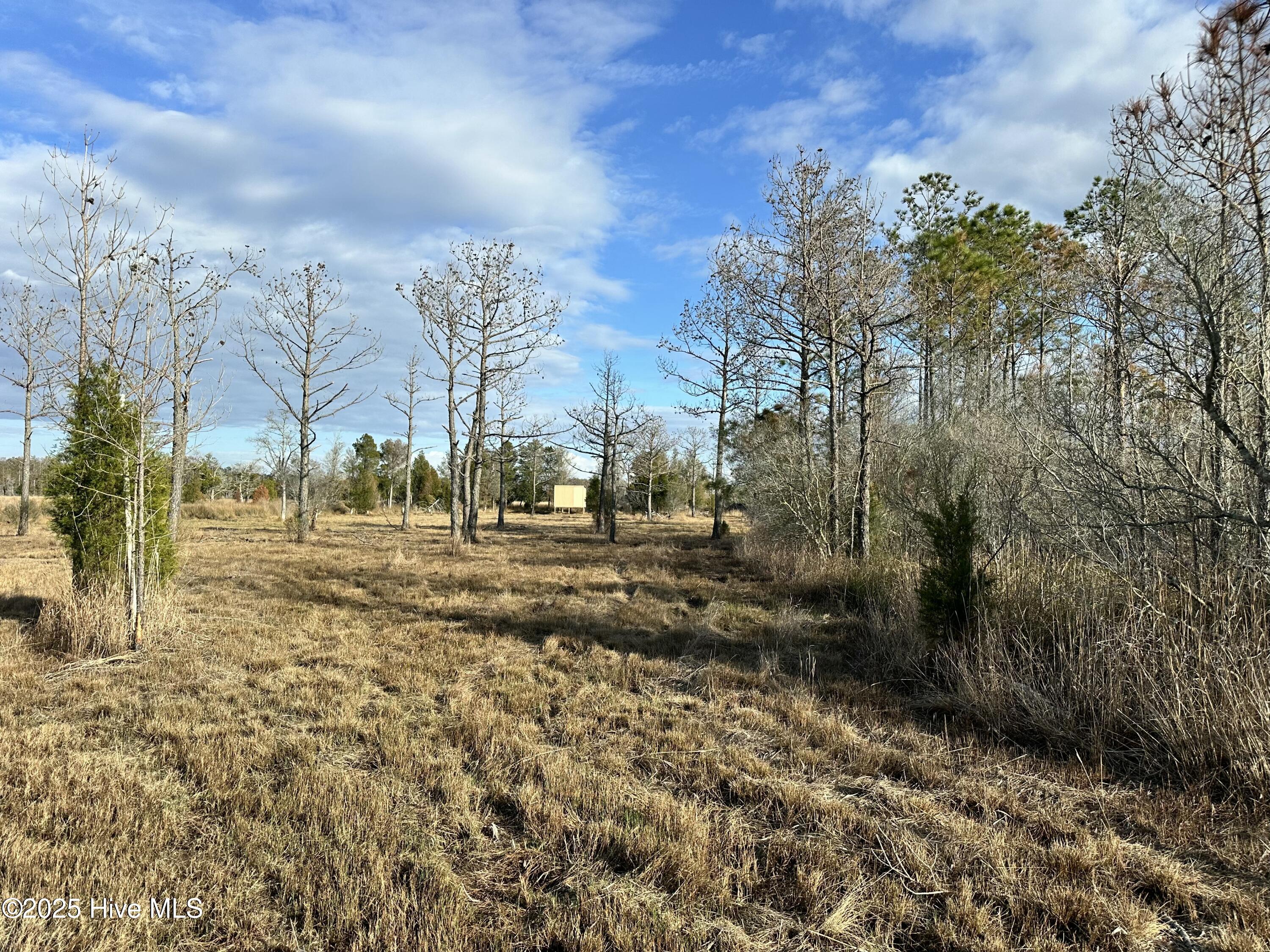 Lot 2 Broad Creek Estates Road Property Photo 9