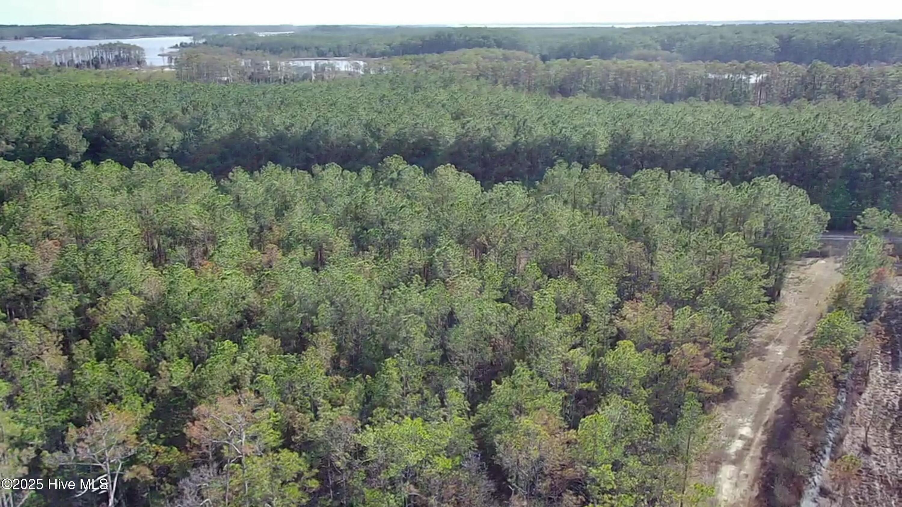 Lot 2 Broad Creek Estates Road Property Photo 17