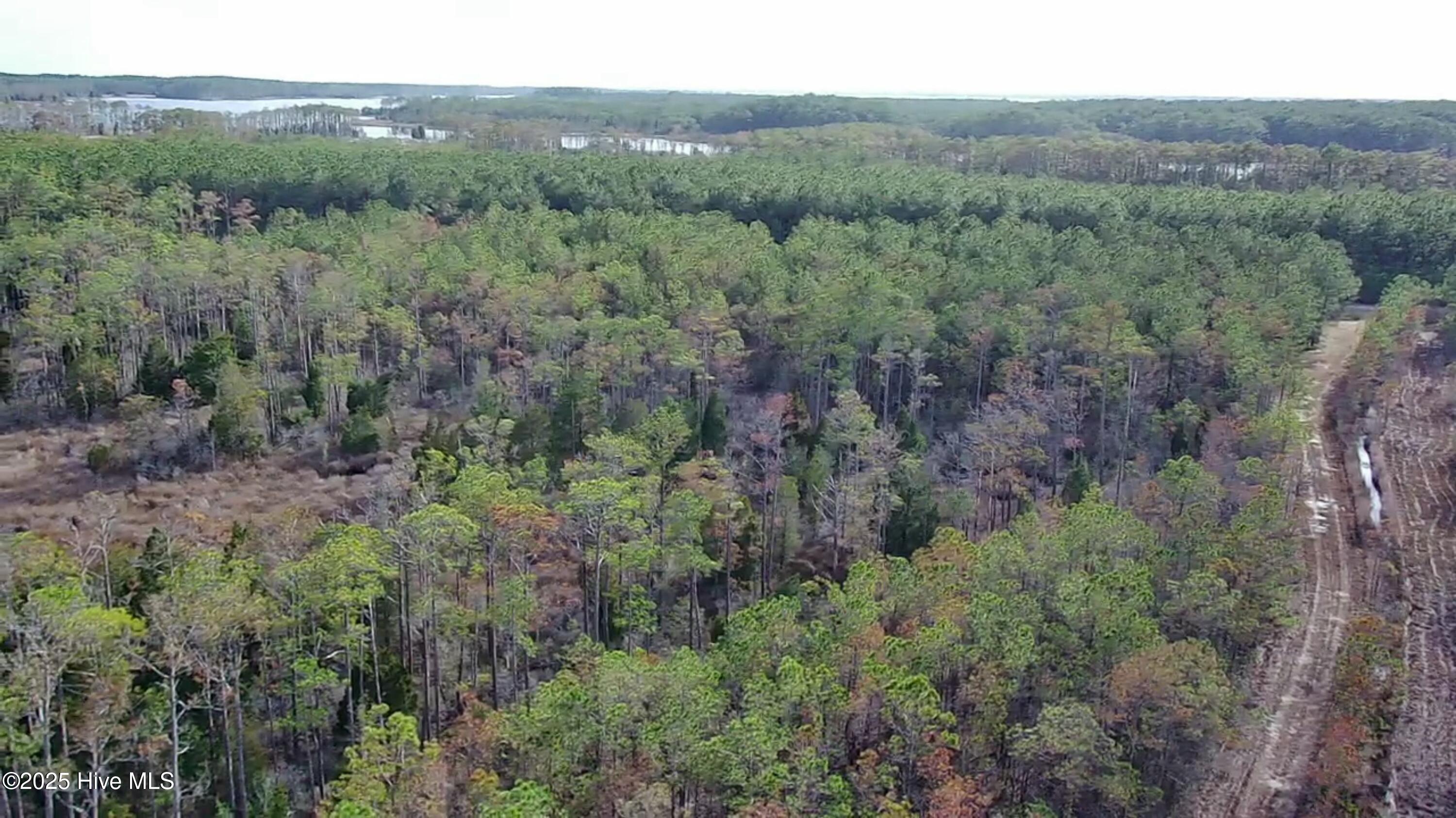 Lot 2 Broad Creek Estates Road Property Photo 18