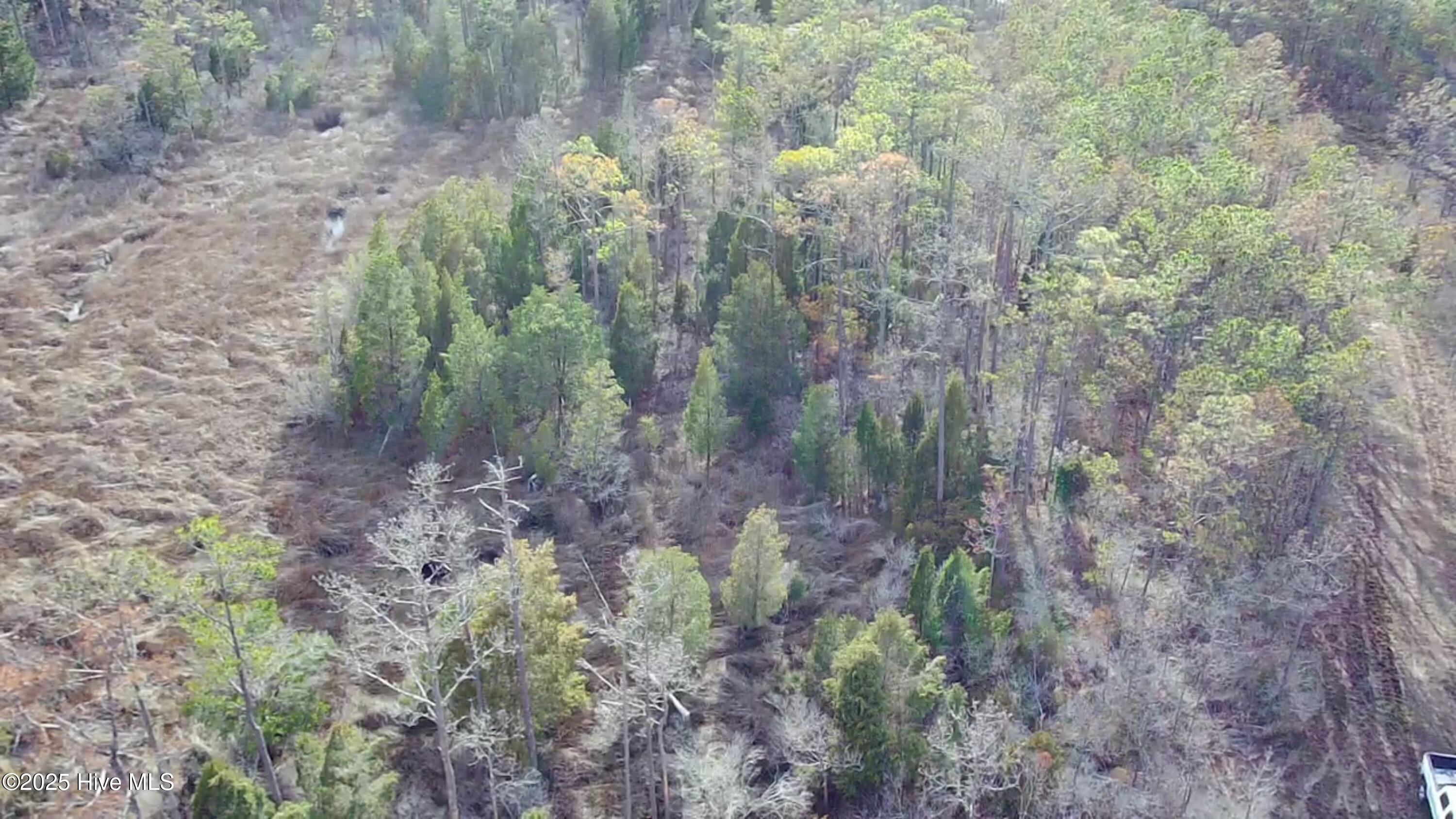Lot 2 Broad Creek Estates Road Property Photo 24