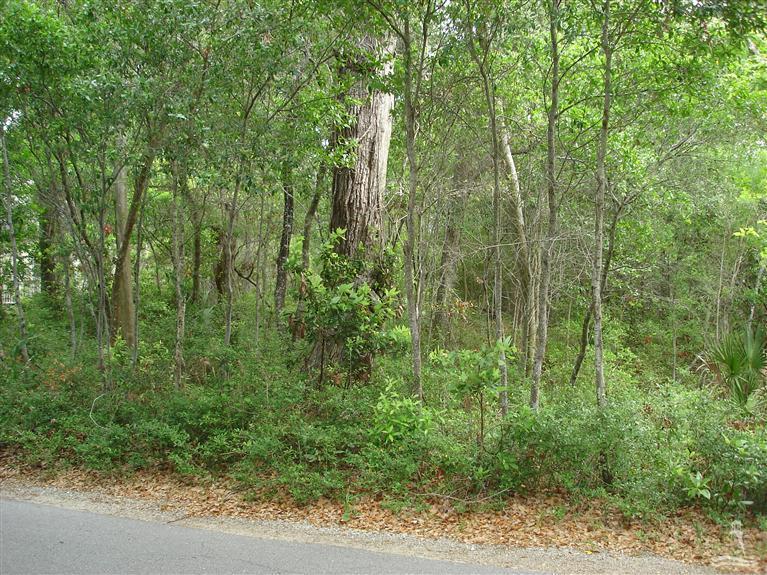 121 Edward Teach Property Photo