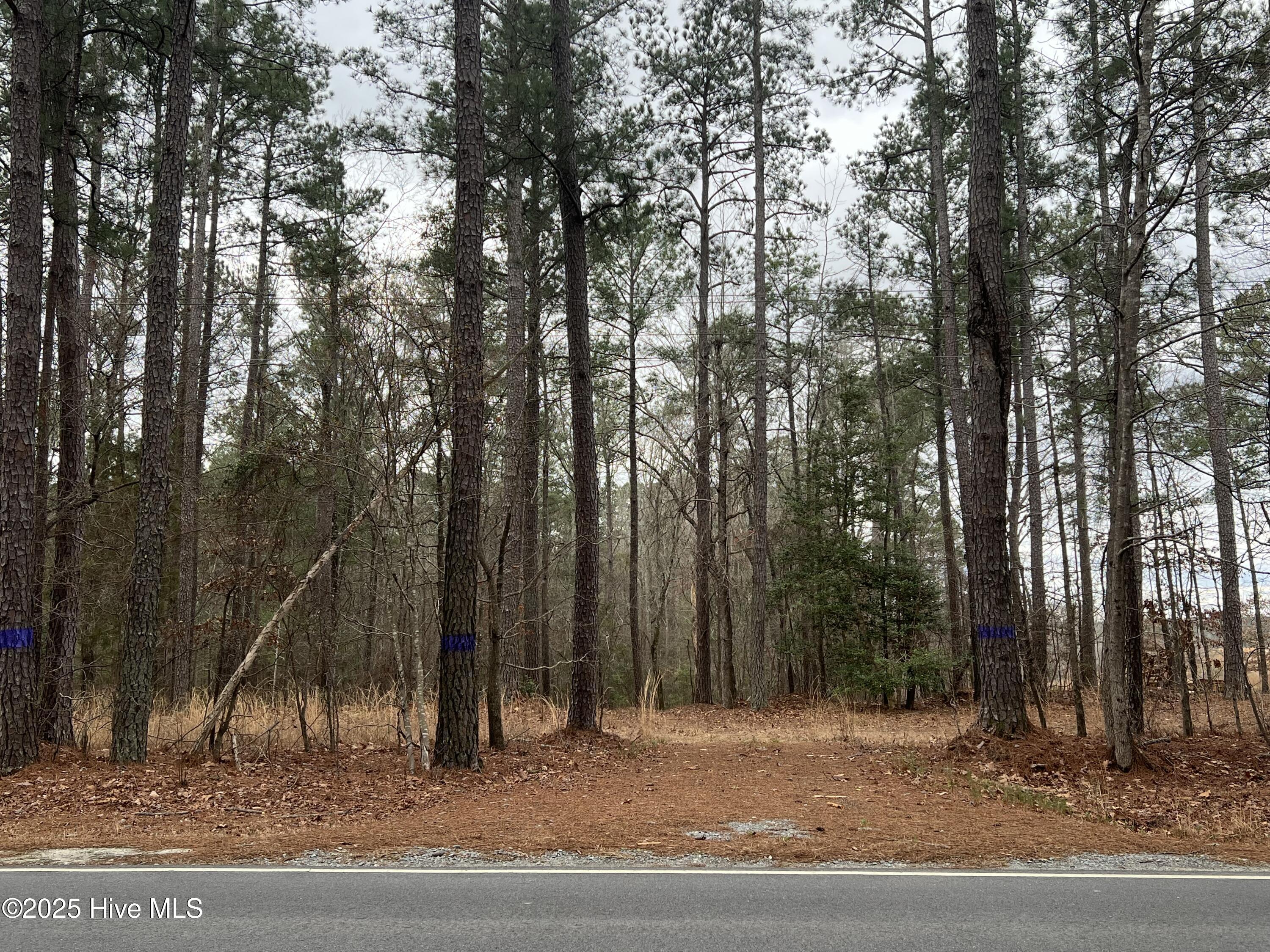395 Doubs Chapel Road Property Photo 2