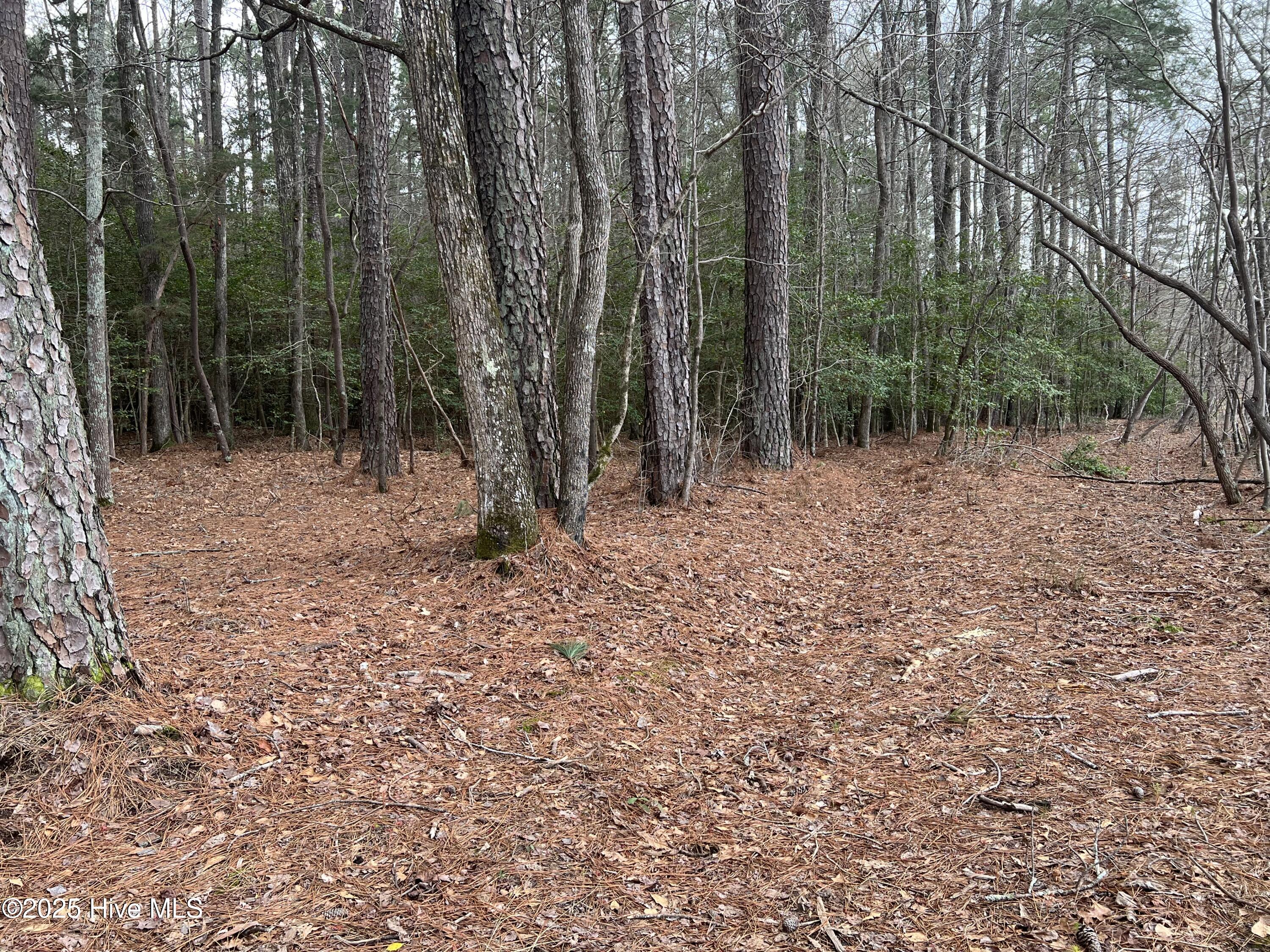 395 Doubs Chapel Road Property Photo 12