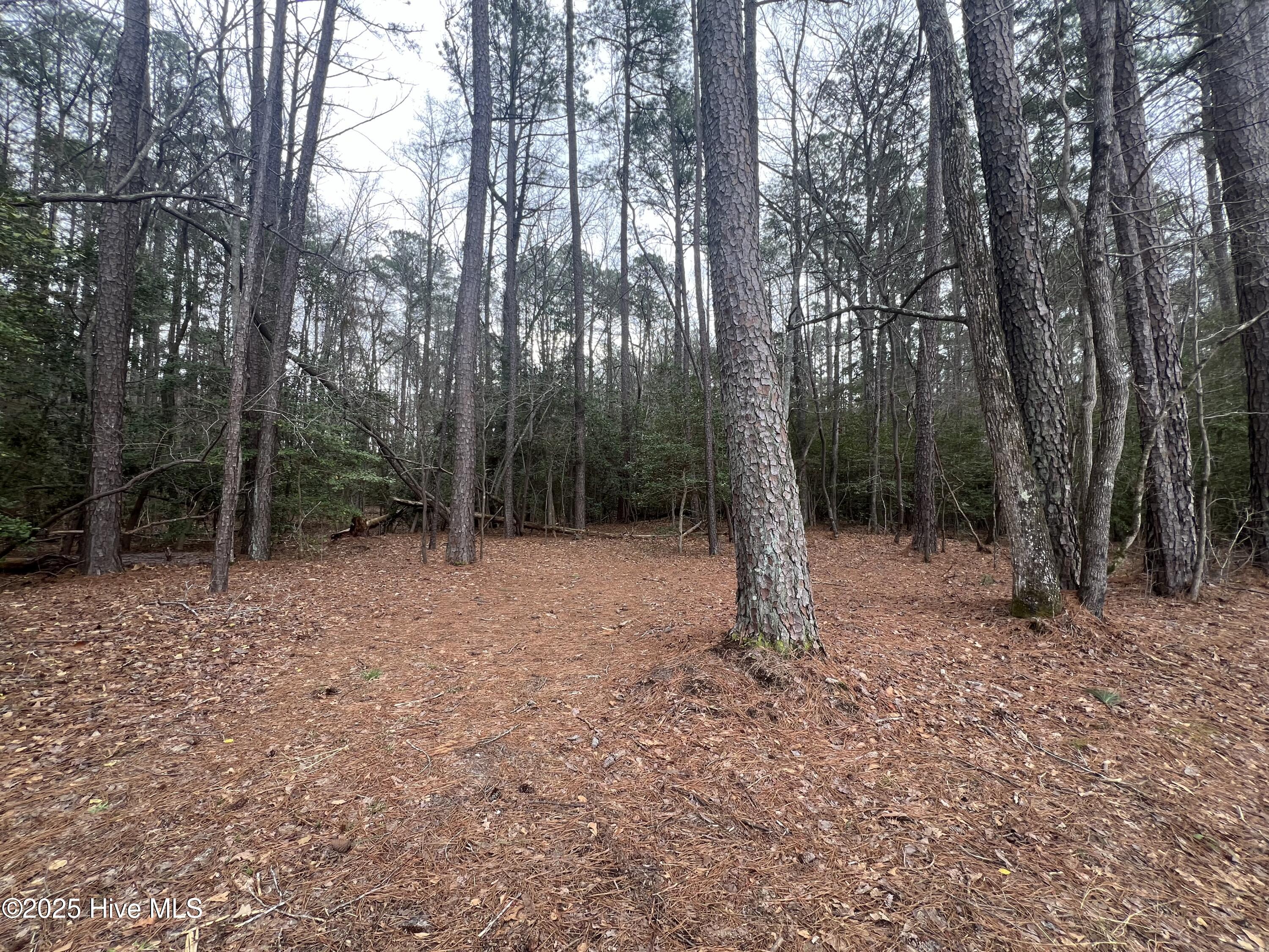 395 Doubs Chapel Road Property Photo 13
