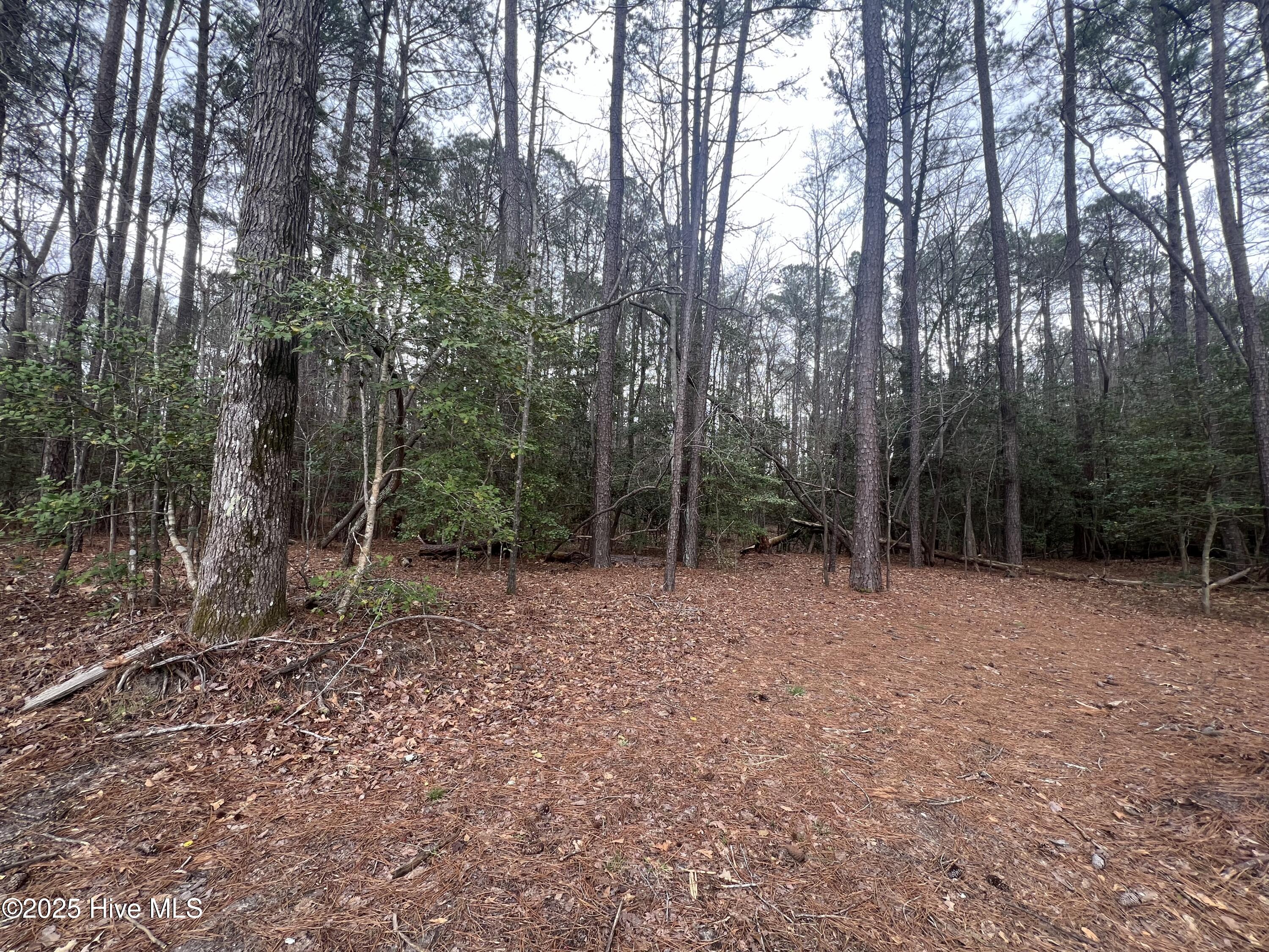395 Doubs Chapel Road Property Photo 14