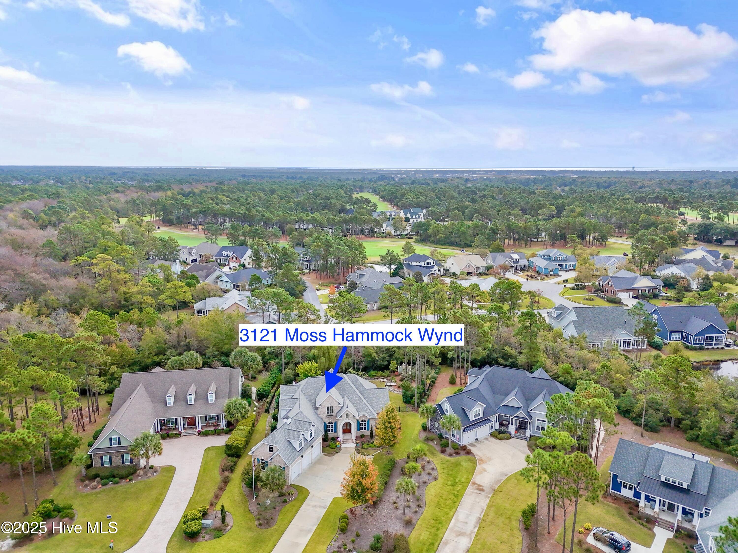 3121 Moss Hammock Wynd Property Photo 75