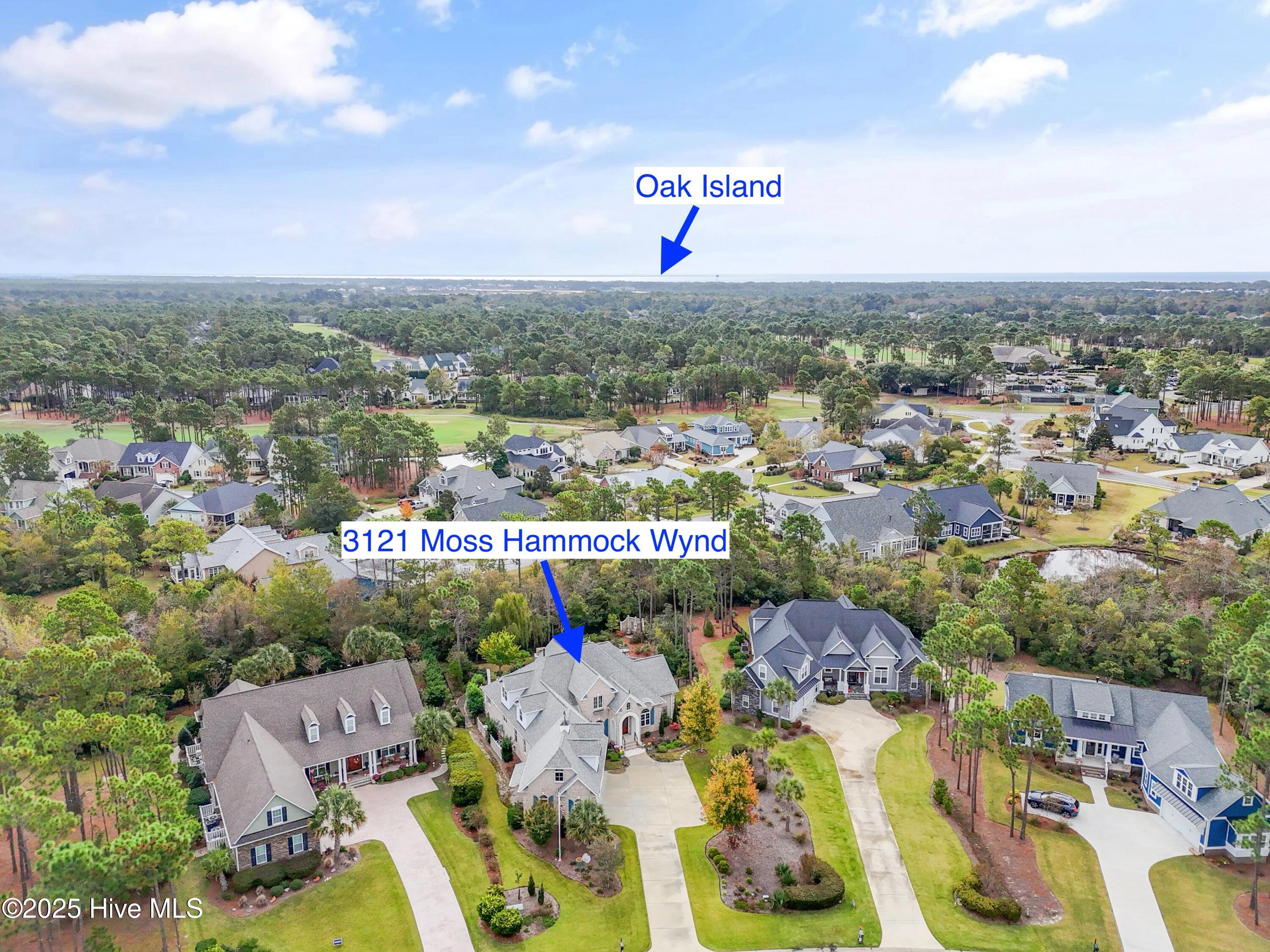 3121 Moss Hammock Wynd Property Photo 76