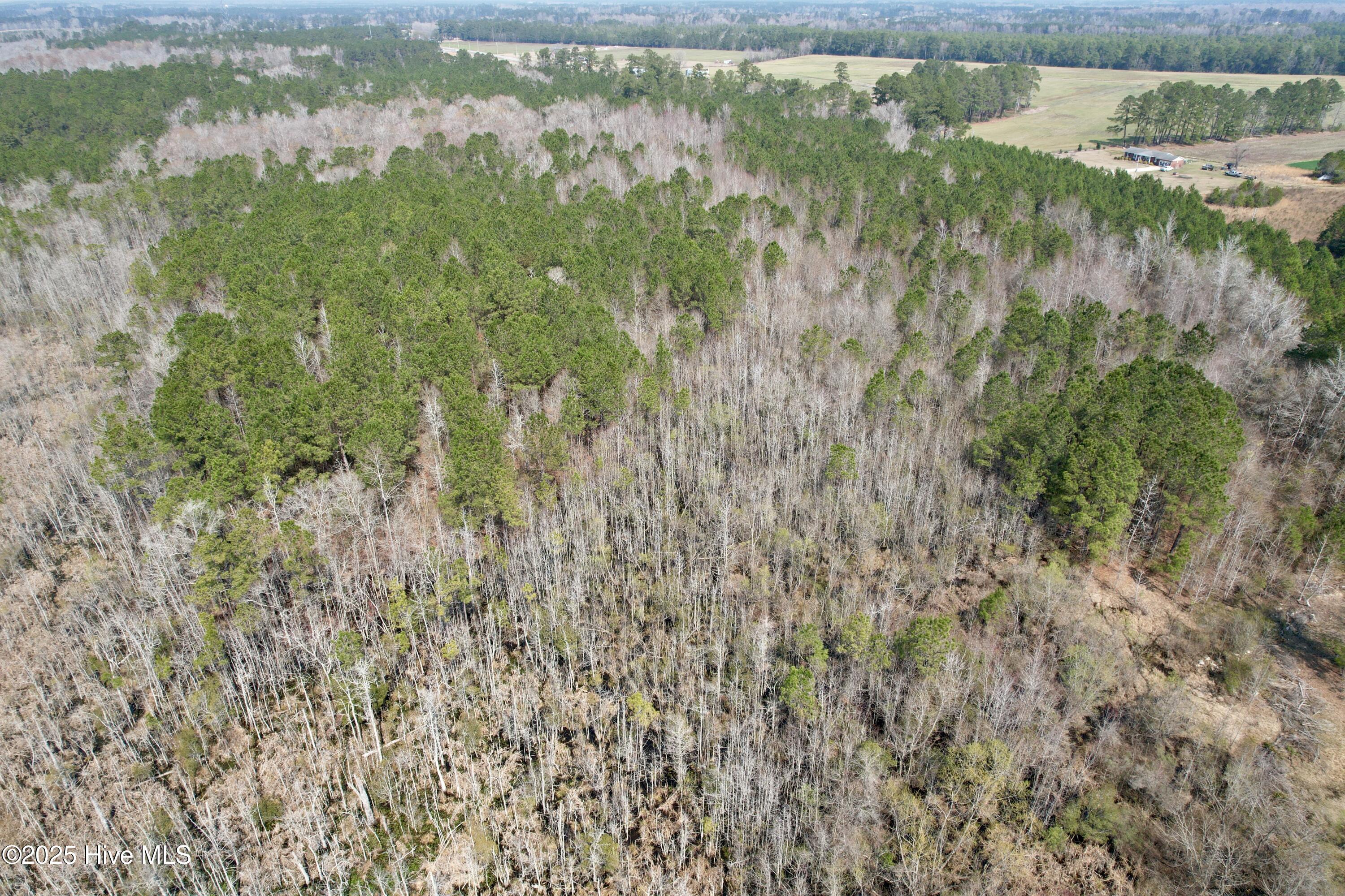 0 Seven Creeks Hwy Property Photo 8