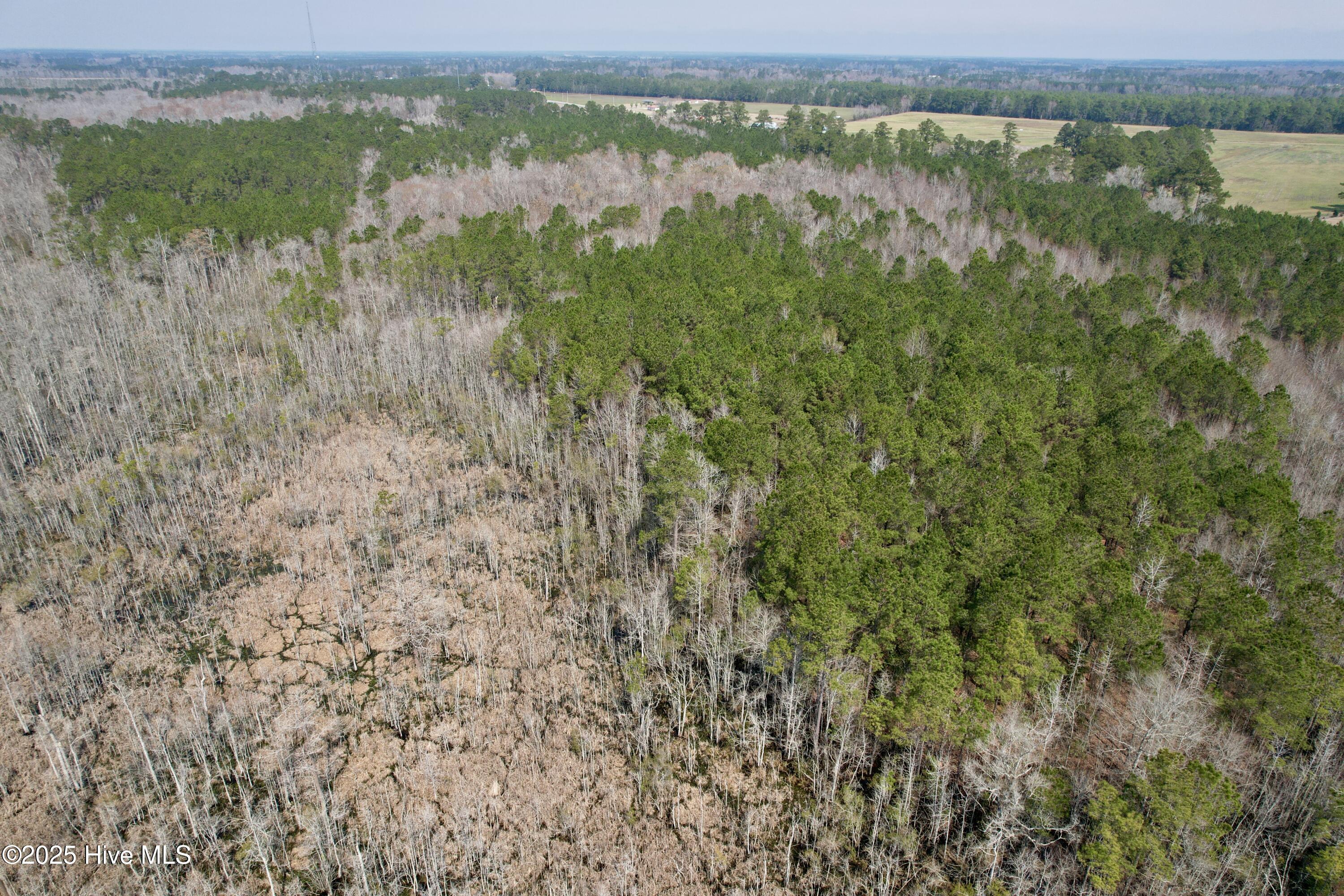 0 Seven Creeks Hwy Property Photo 10