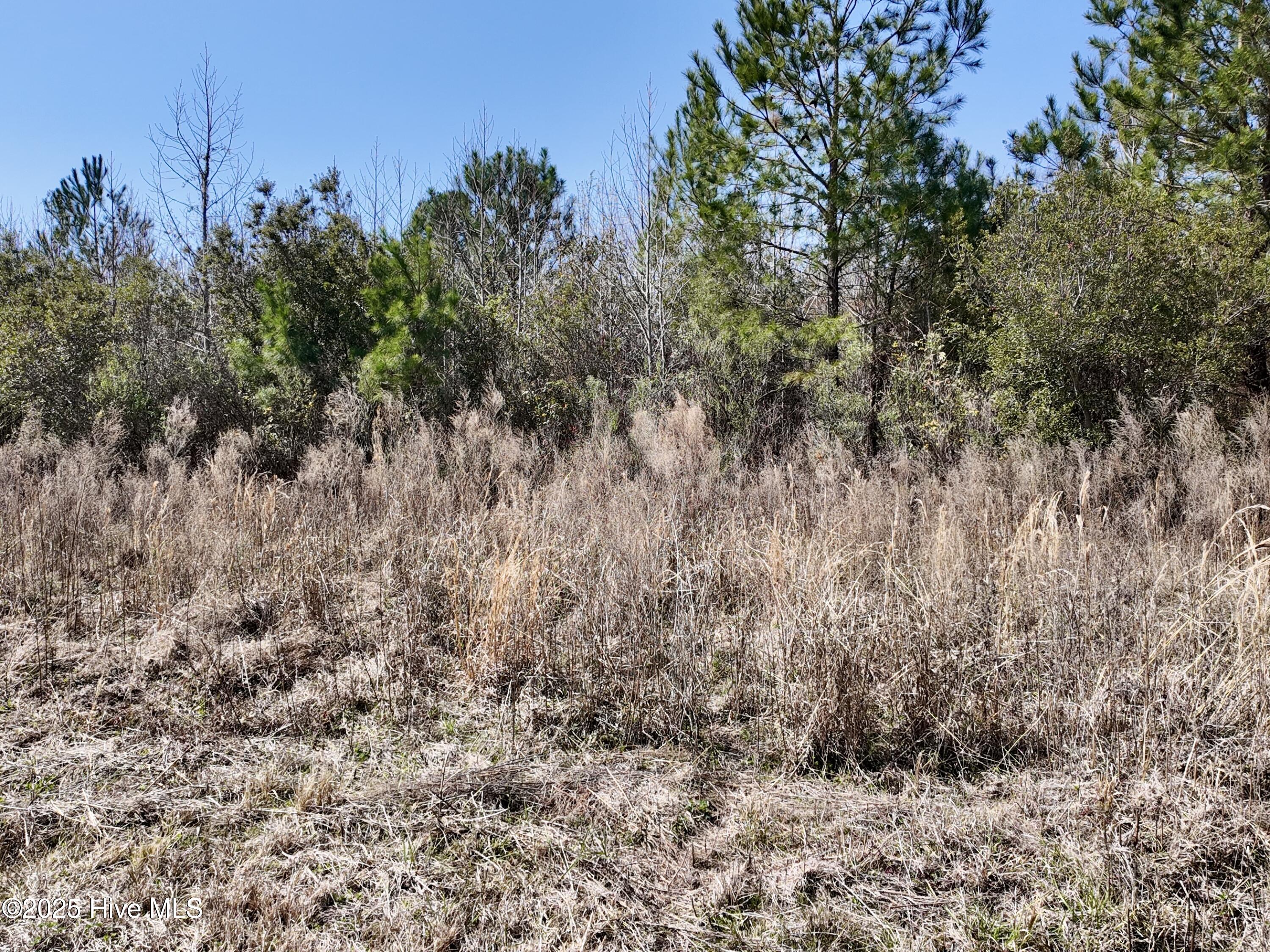 0 Seven Creeks Hwy Property Photo 19