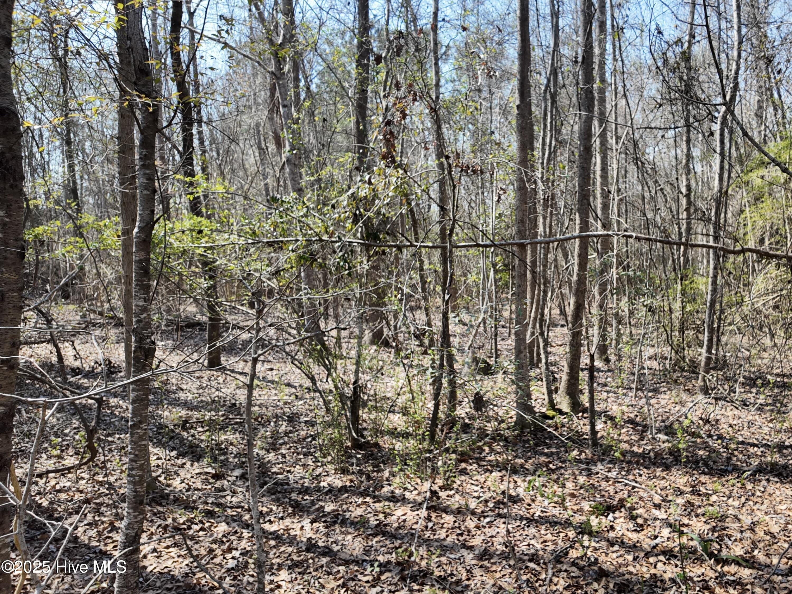 0 Seven Creeks Hwy Property Photo 23