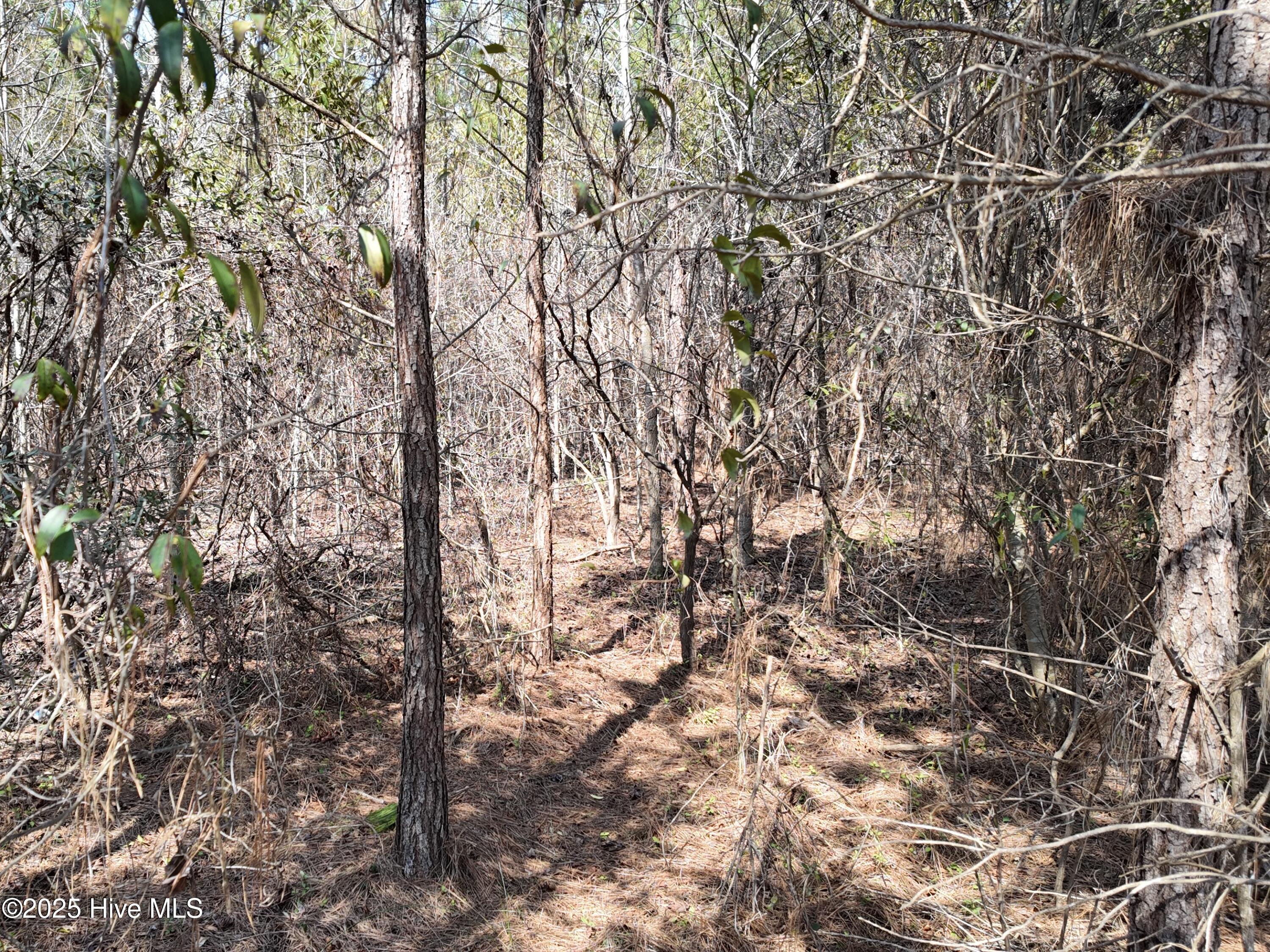 0 Seven Creeks Hwy Property Photo 24
