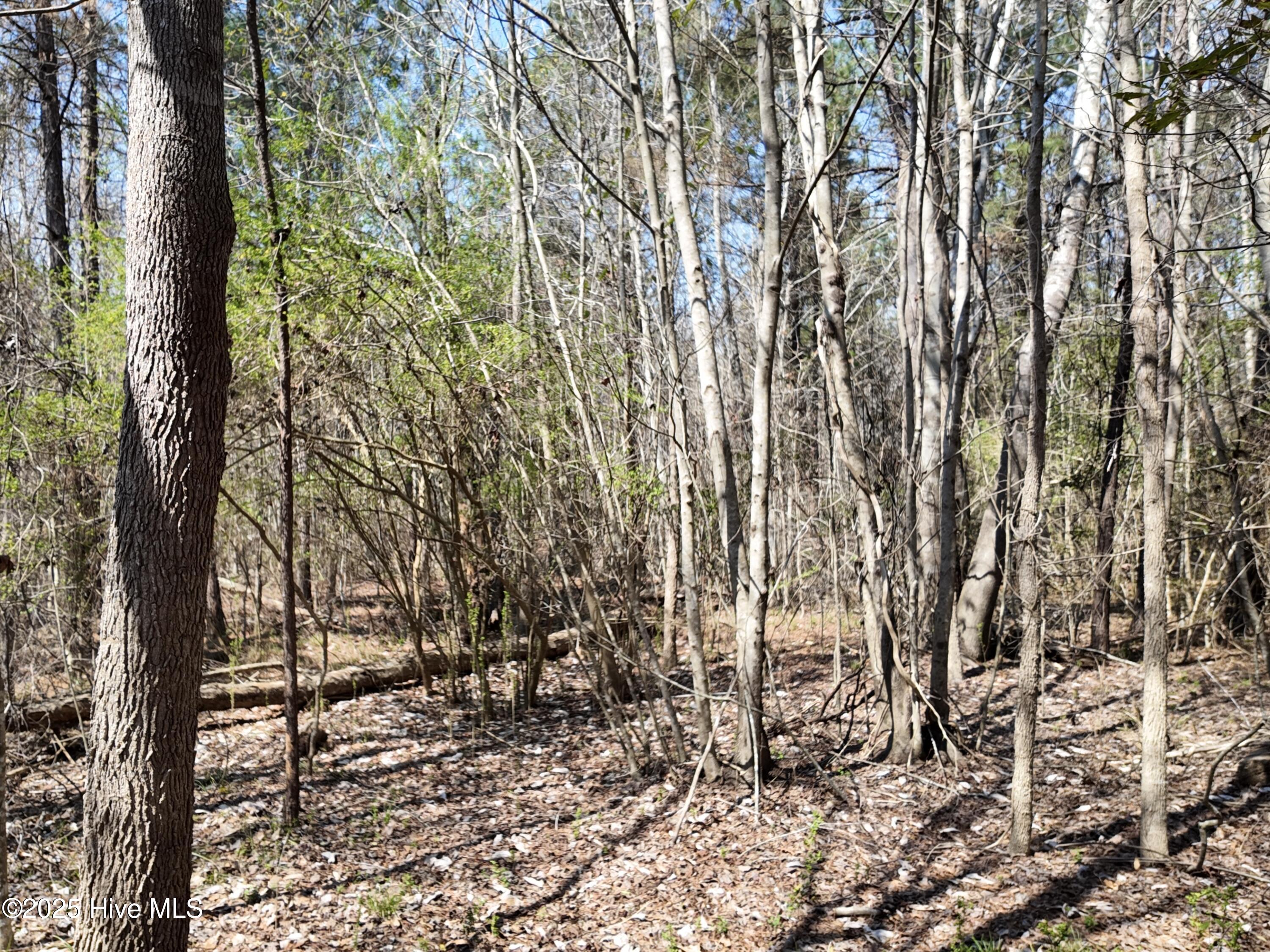 0 Seven Creeks Hwy Property Photo 28