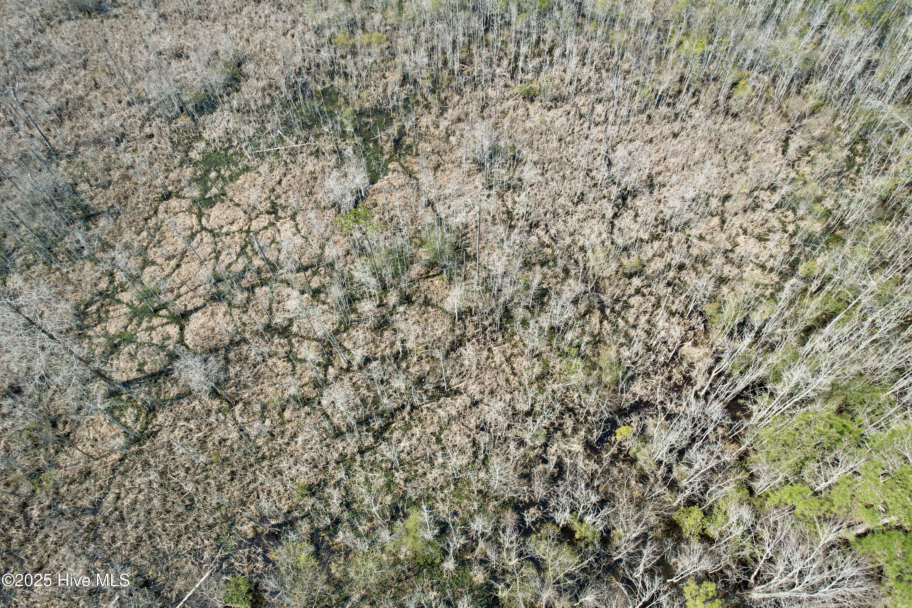 0 Seven Creeks Hwy Property Photo 31
