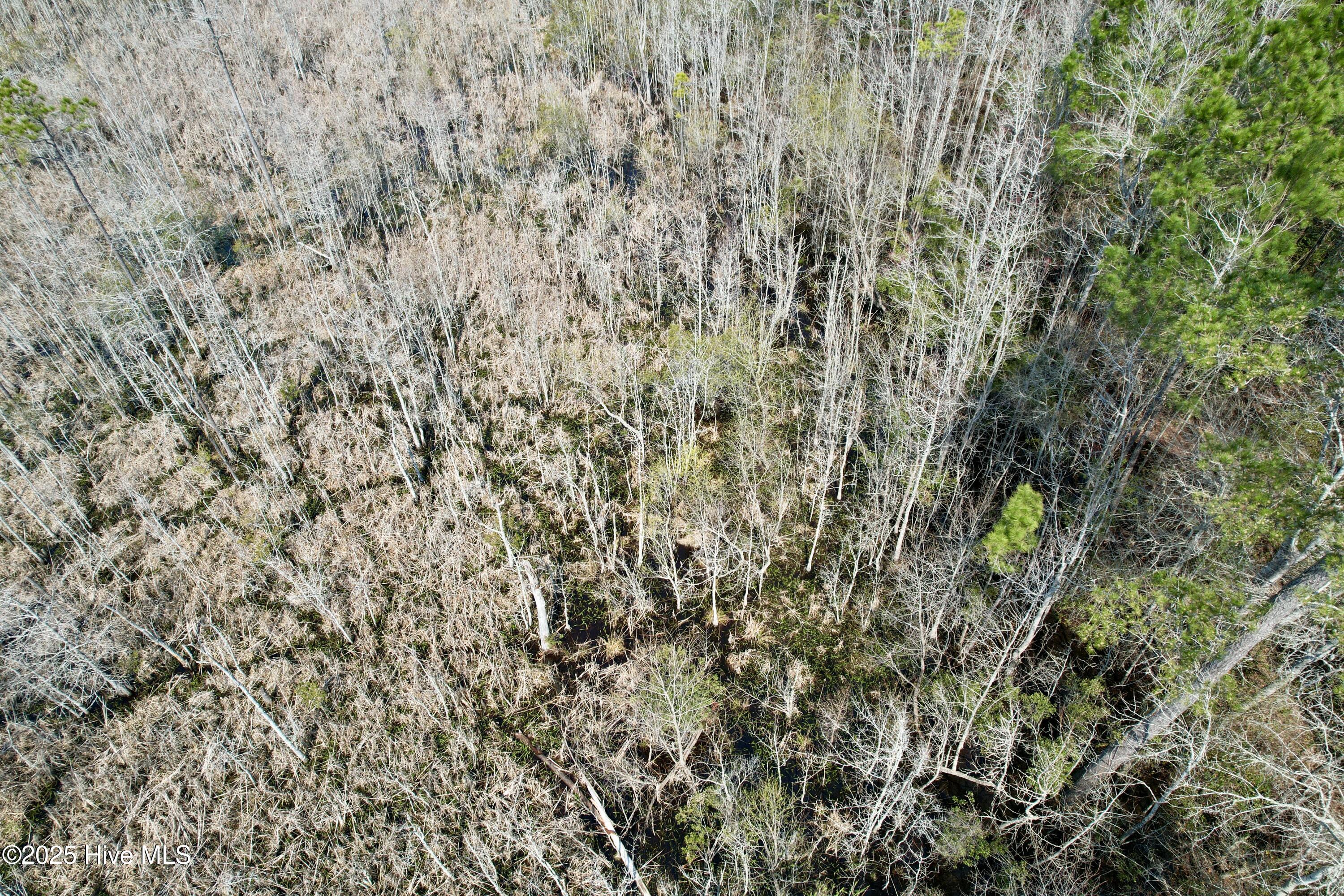 0 Seven Creeks Hwy Property Photo 32