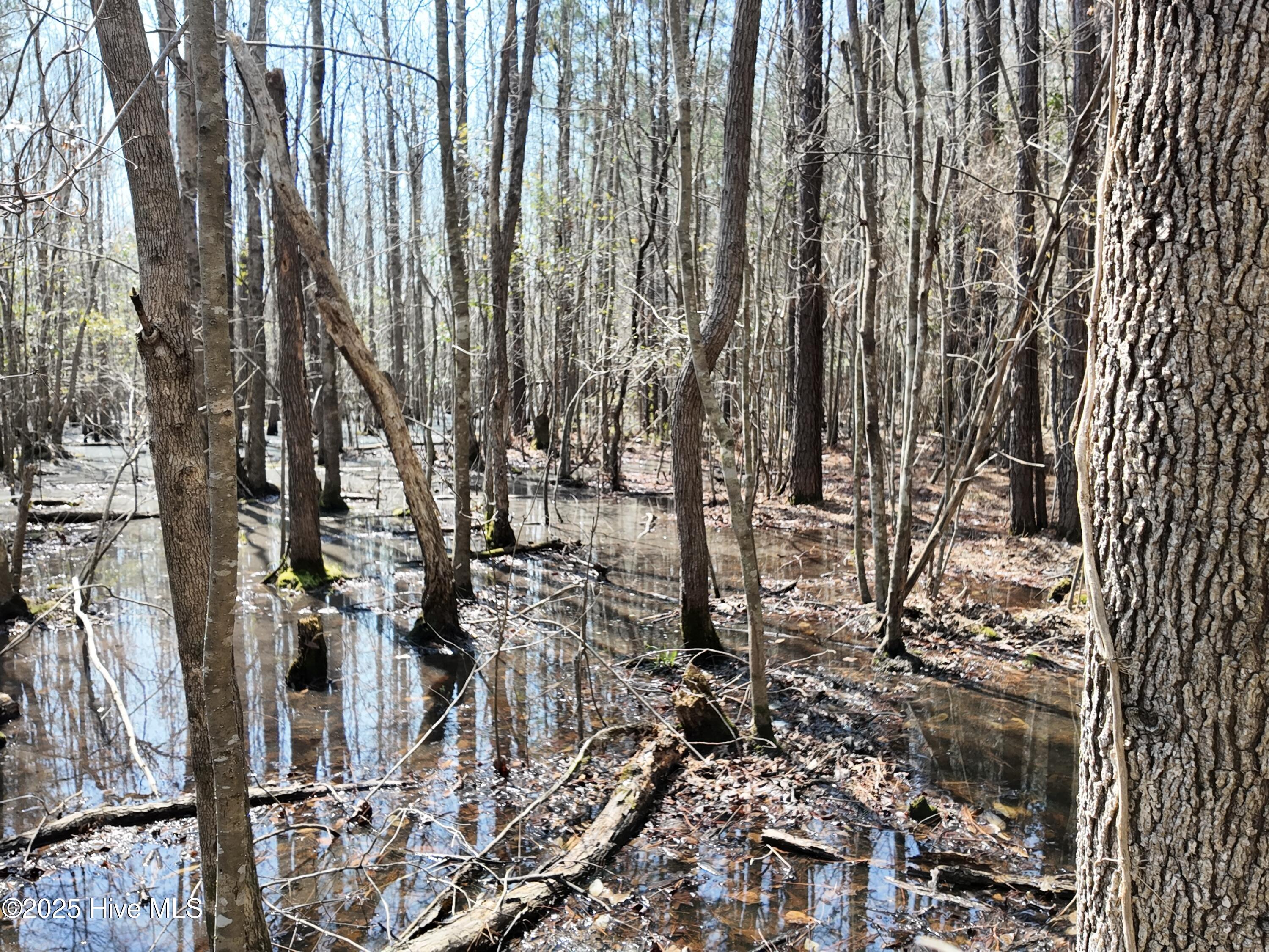 0 Seven Creeks Hwy Property Photo 33