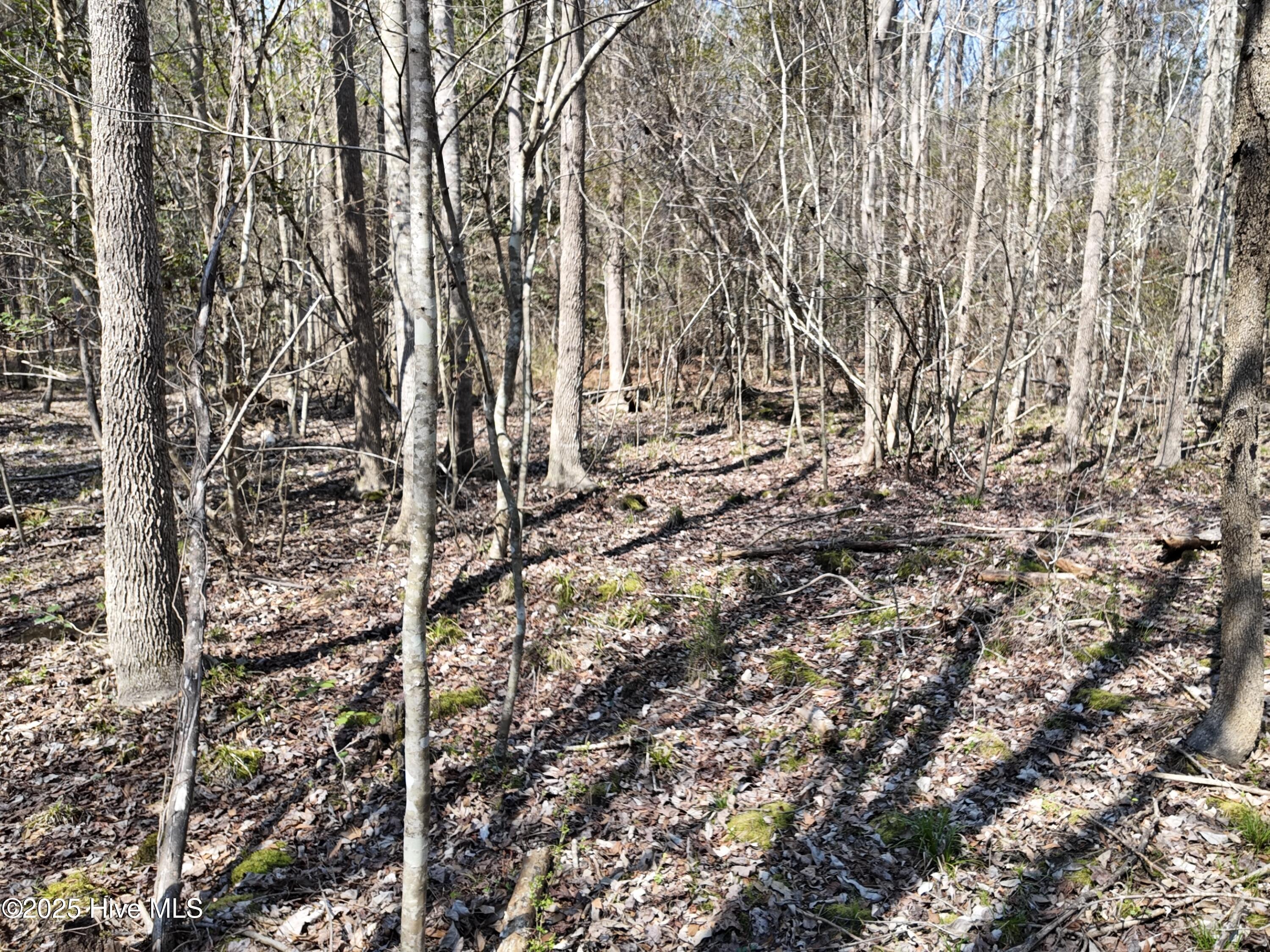 0 Seven Creeks Hwy Property Photo 34