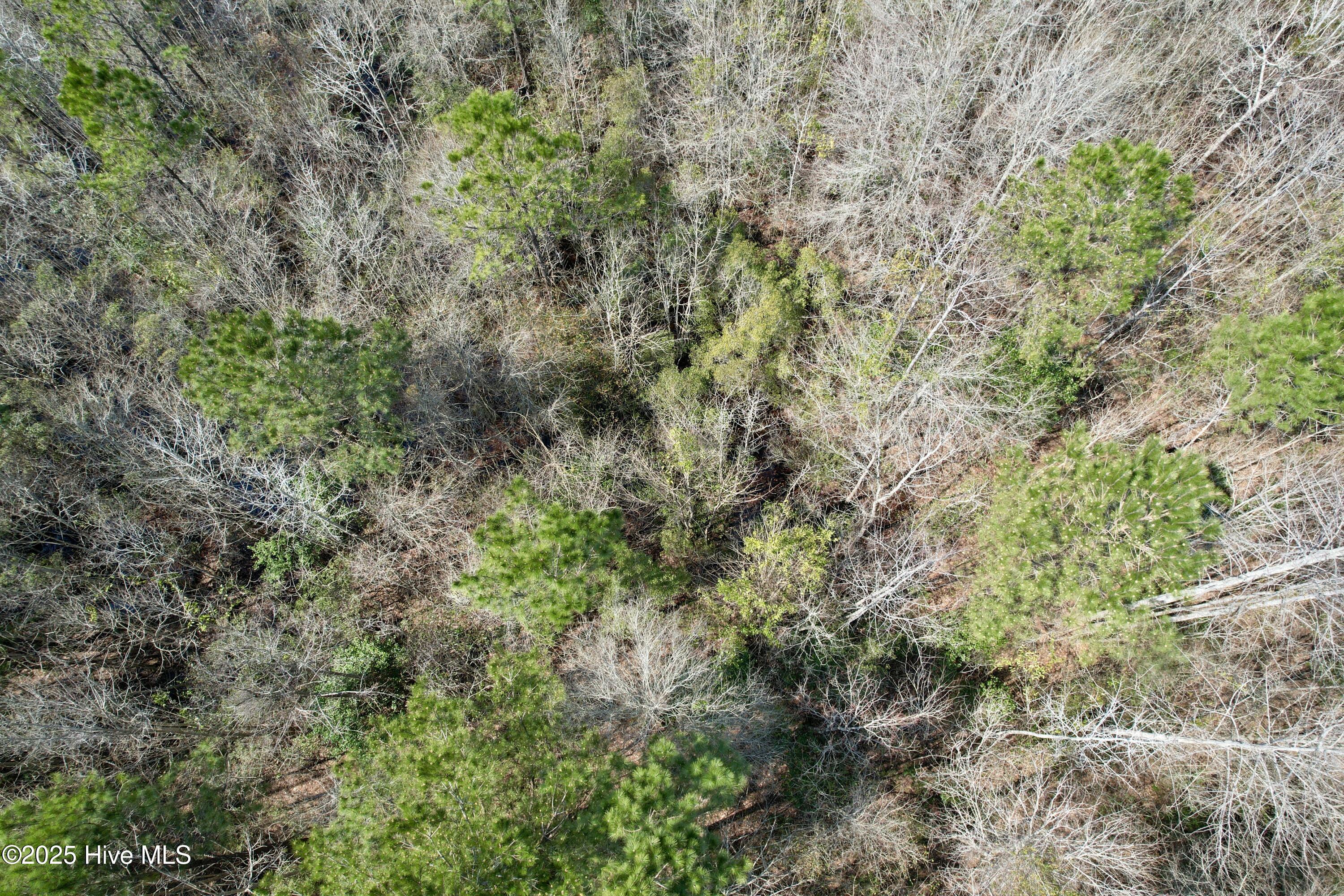 0 Seven Creeks Hwy Property Photo 35