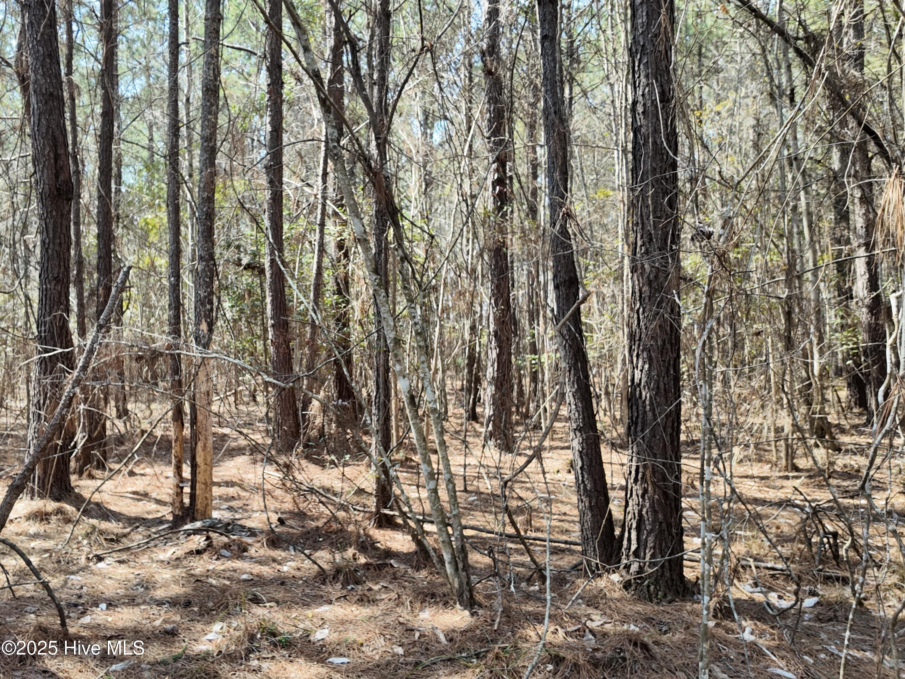 0 Seven Creeks Hwy Property Photo 40