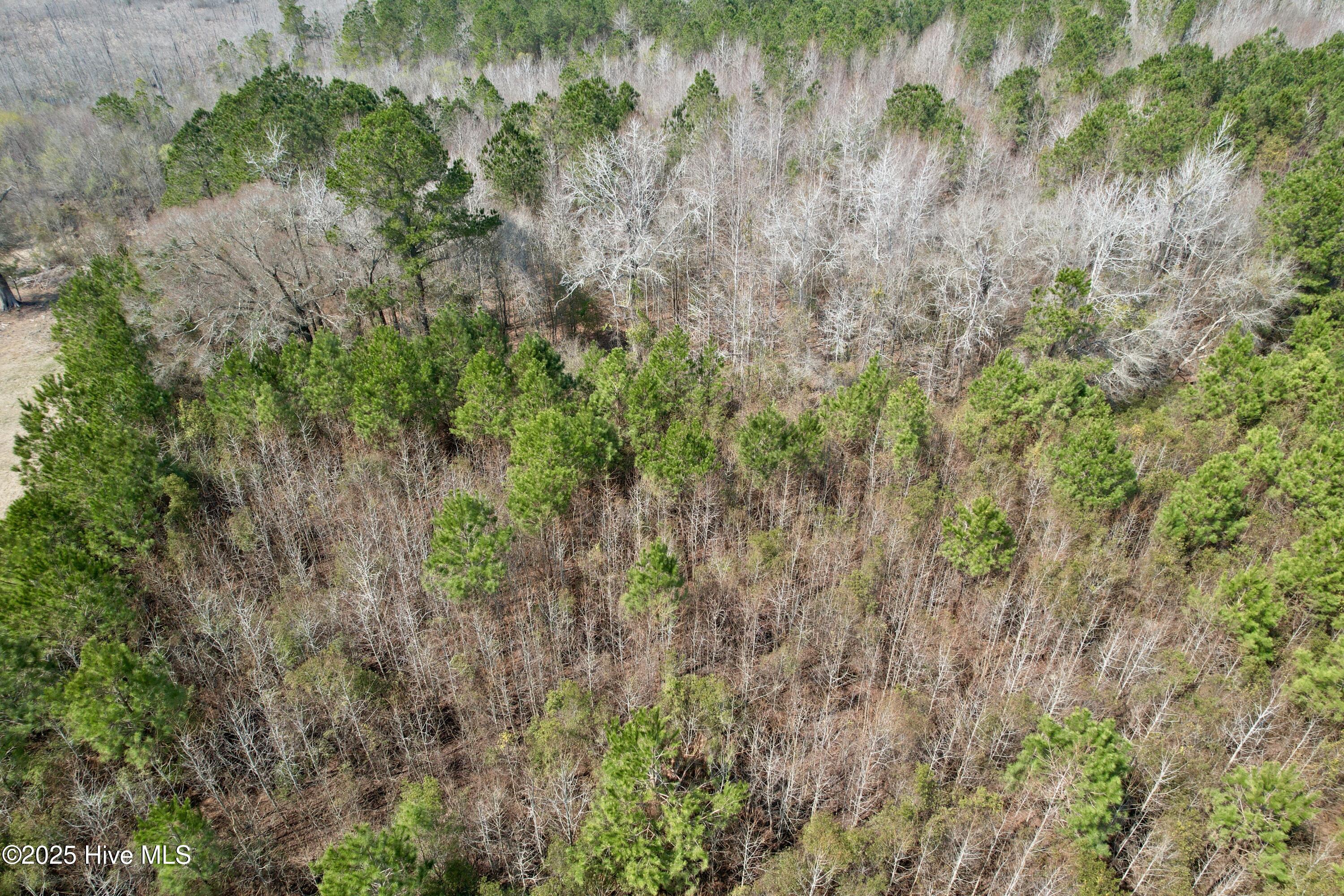 0 Seven Creeks Hwy Property Photo 43