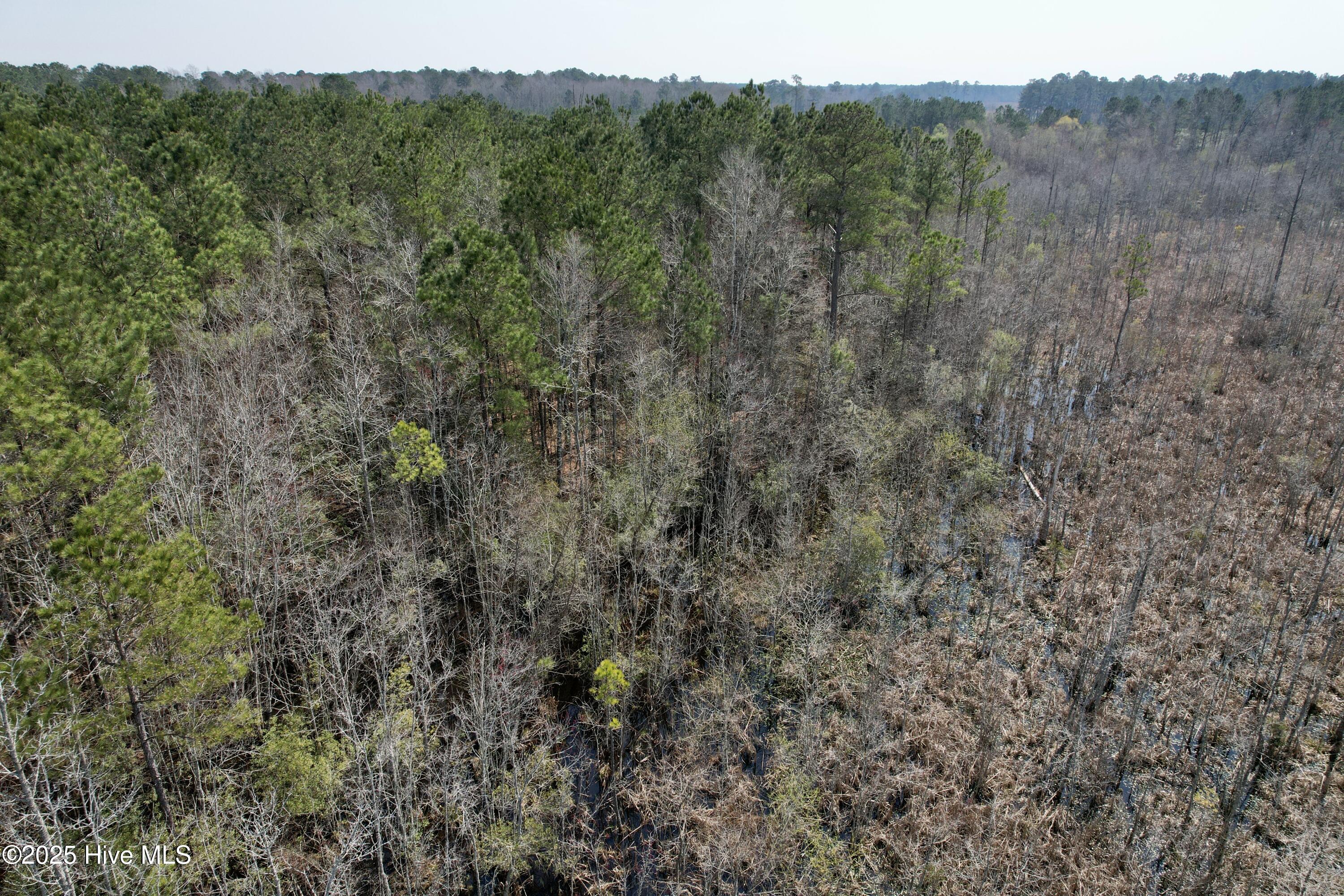 0 Seven Creeks Hwy Property Photo 45