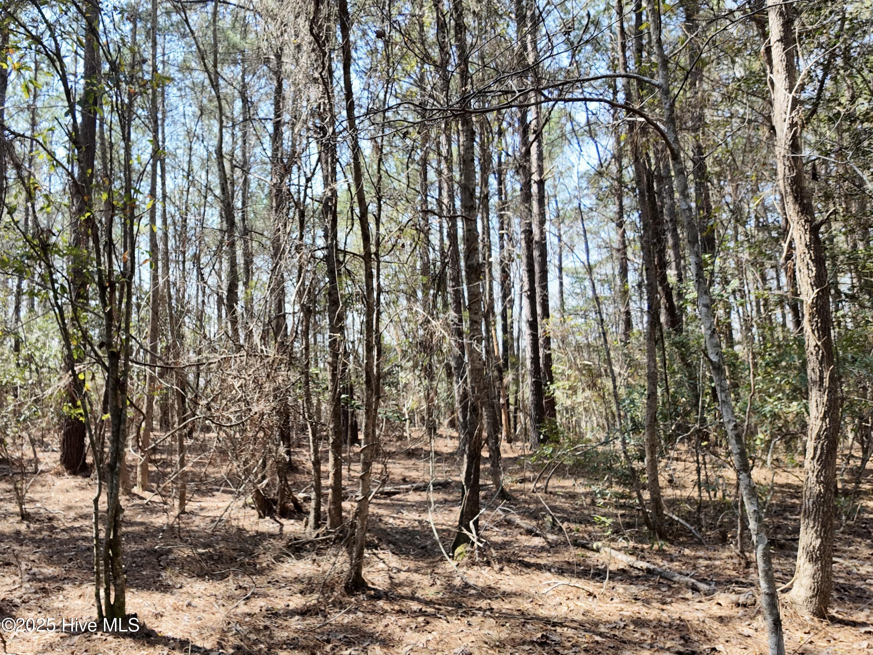 0 Seven Creeks Hwy Property Photo 47